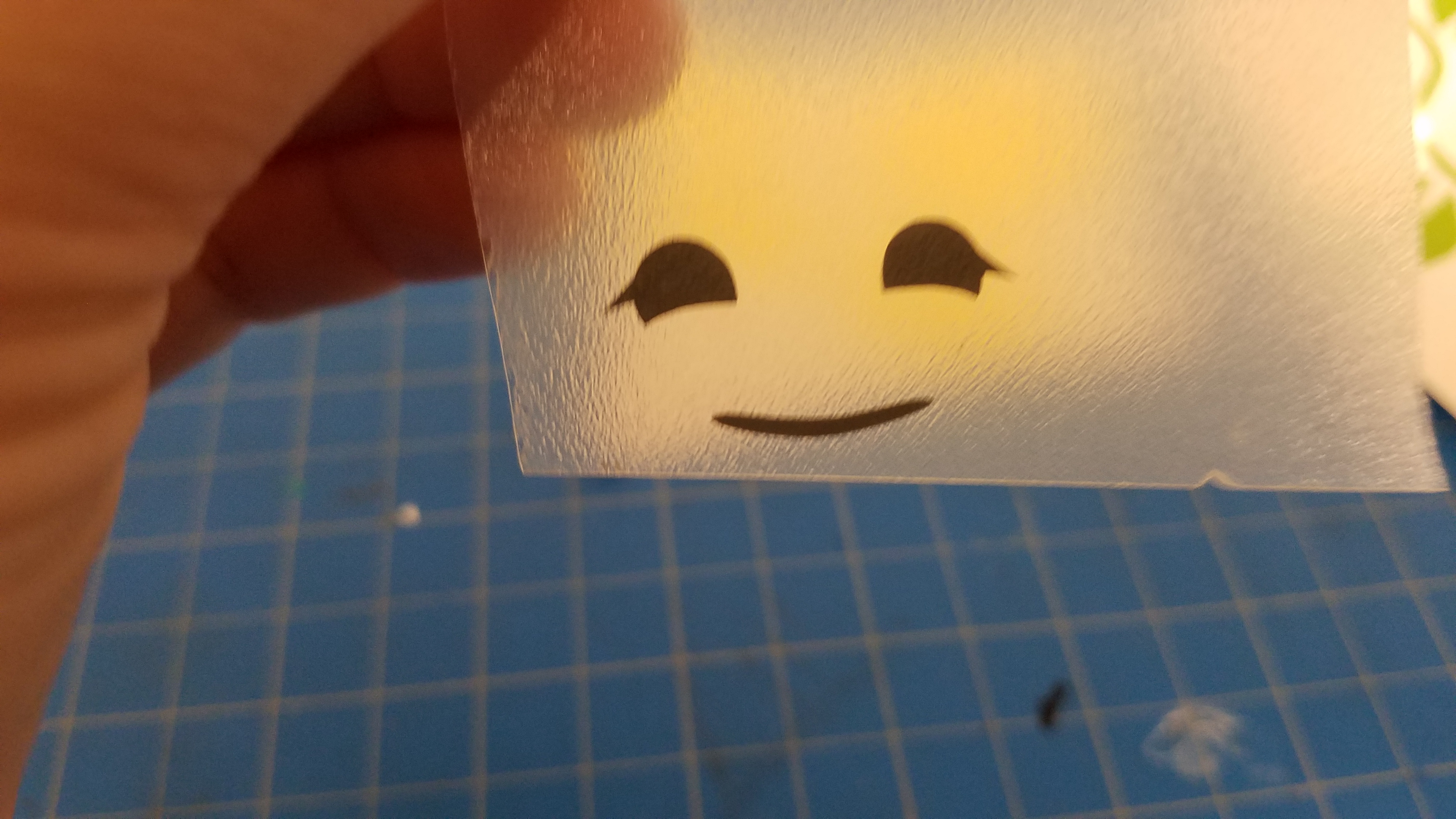 20180515_123452.jpg