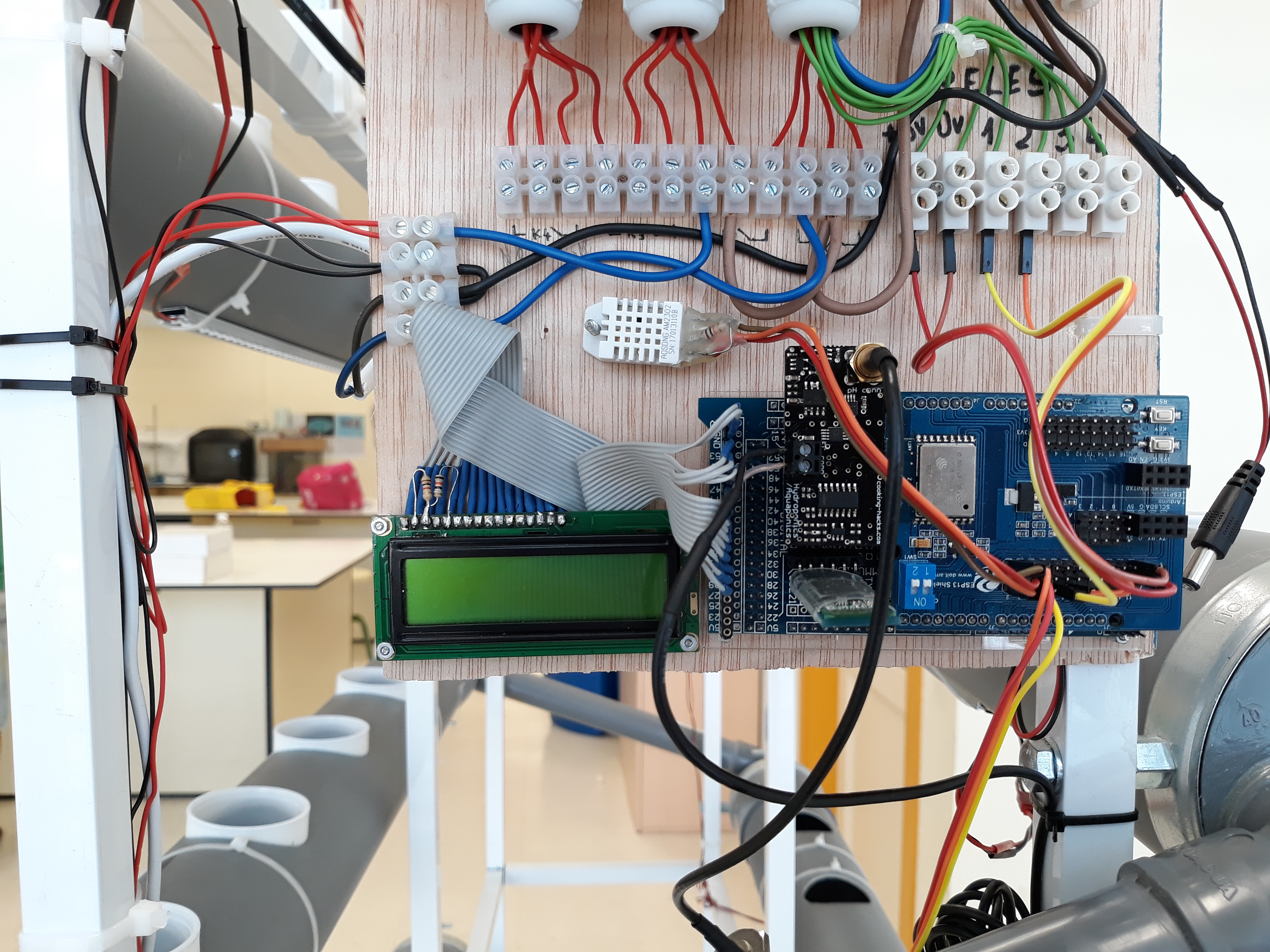 20180525 JdL Hidropónico 124.jpg