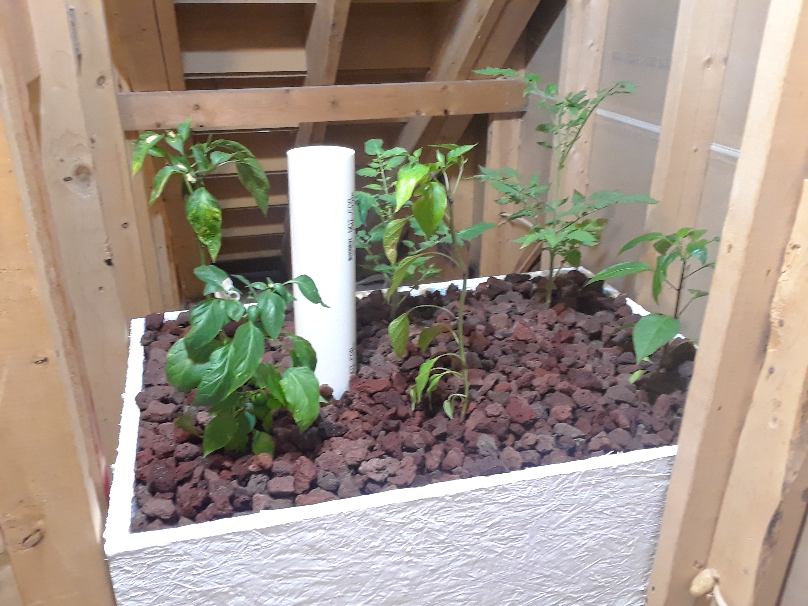 20180713_193419.jpg