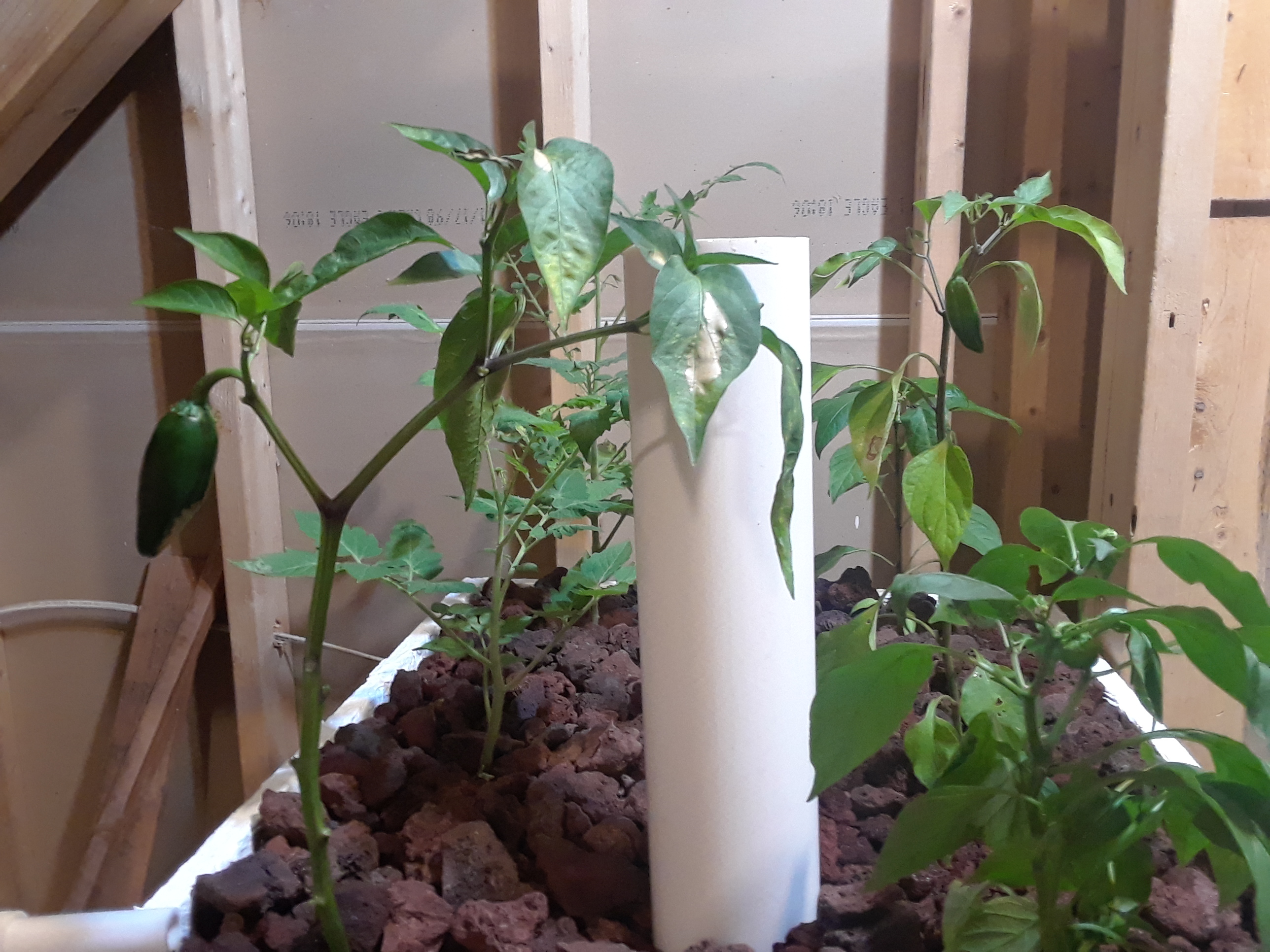 20180713_193431.jpg