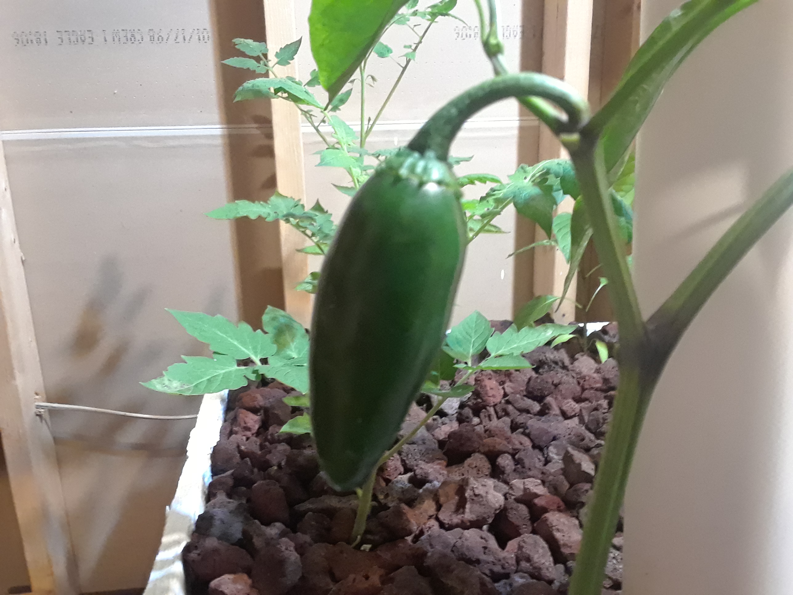 20180713_193540.jpg