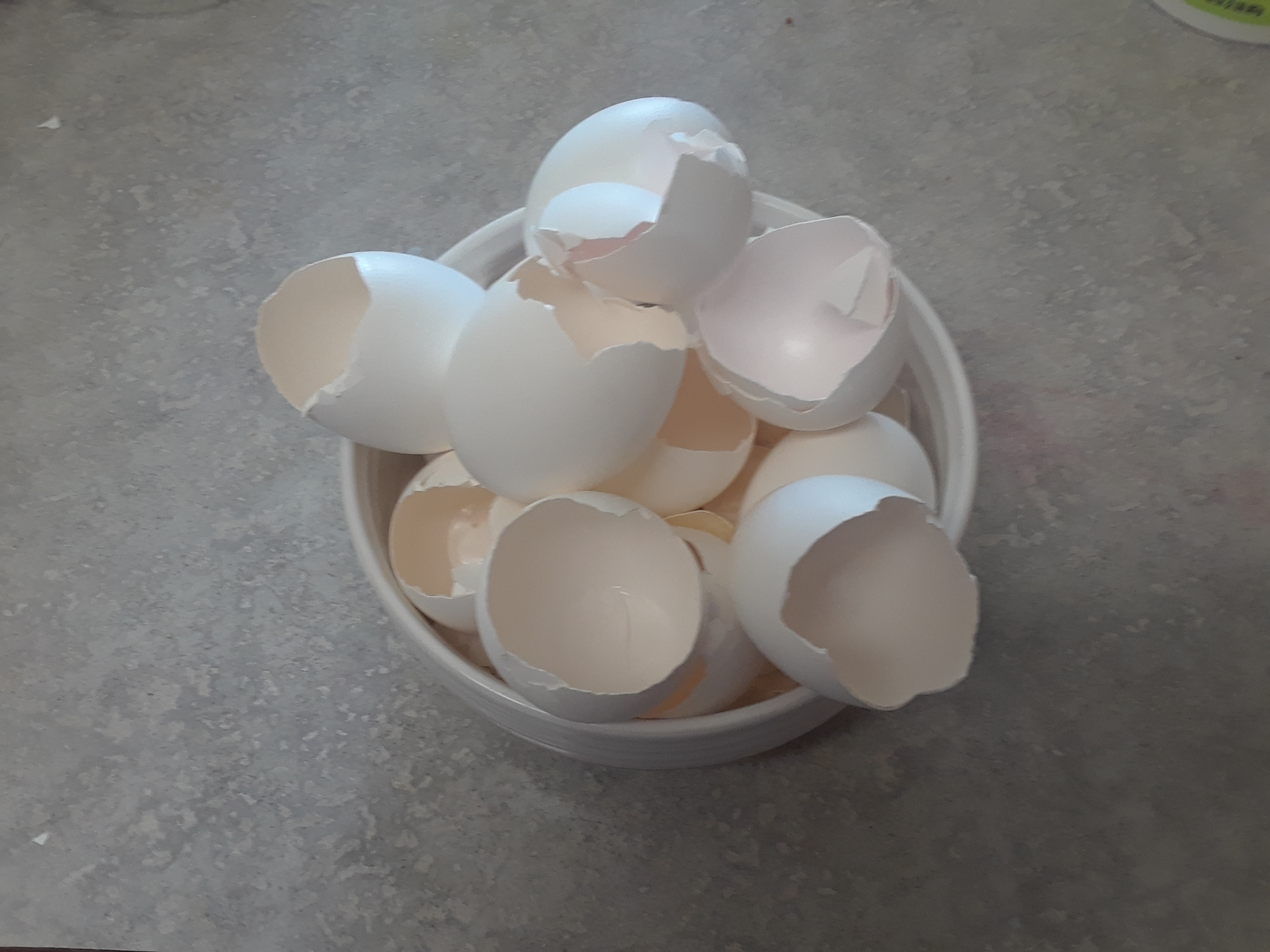 20180714_132108.jpg