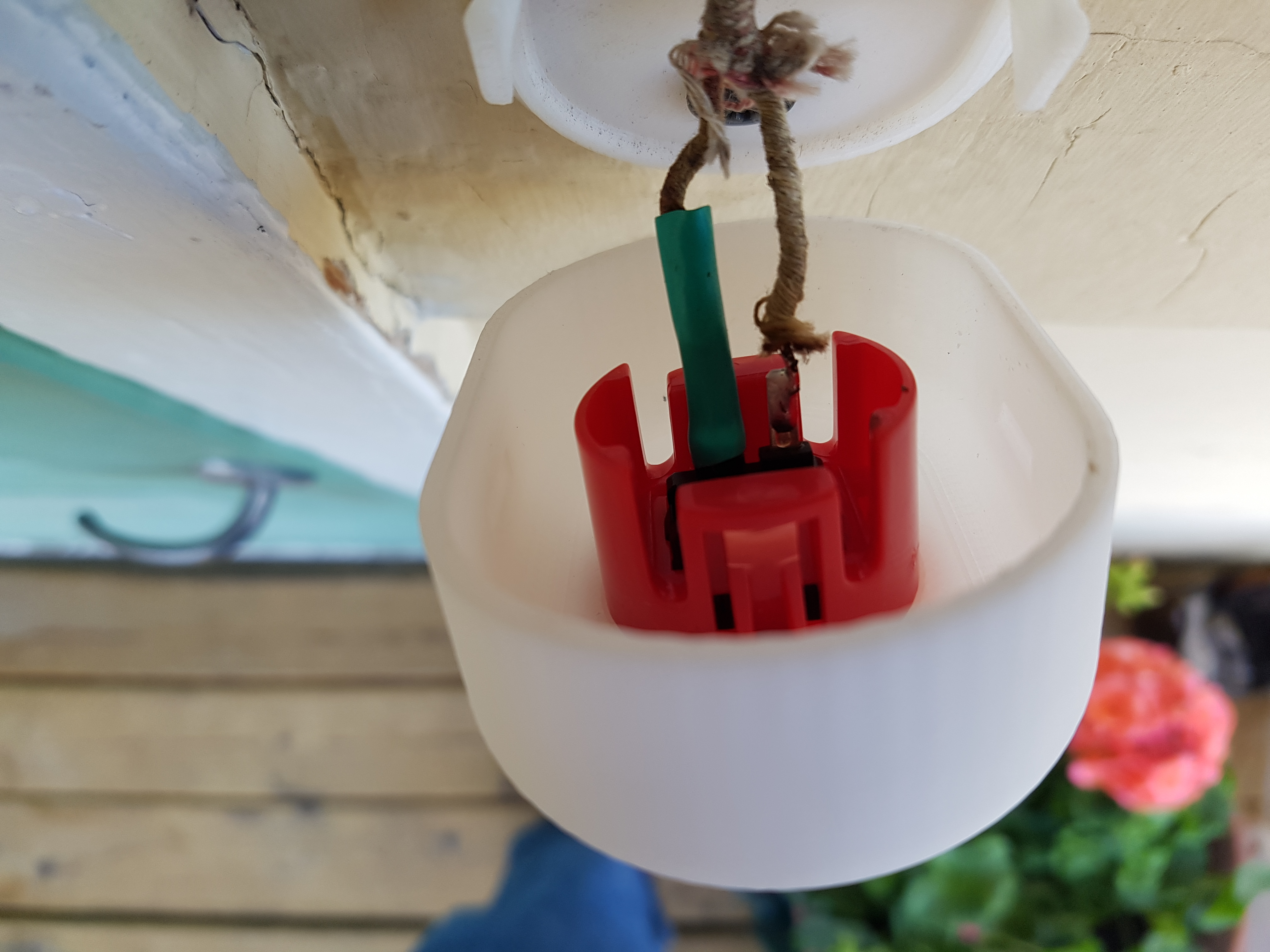 20180719_113134.jpg