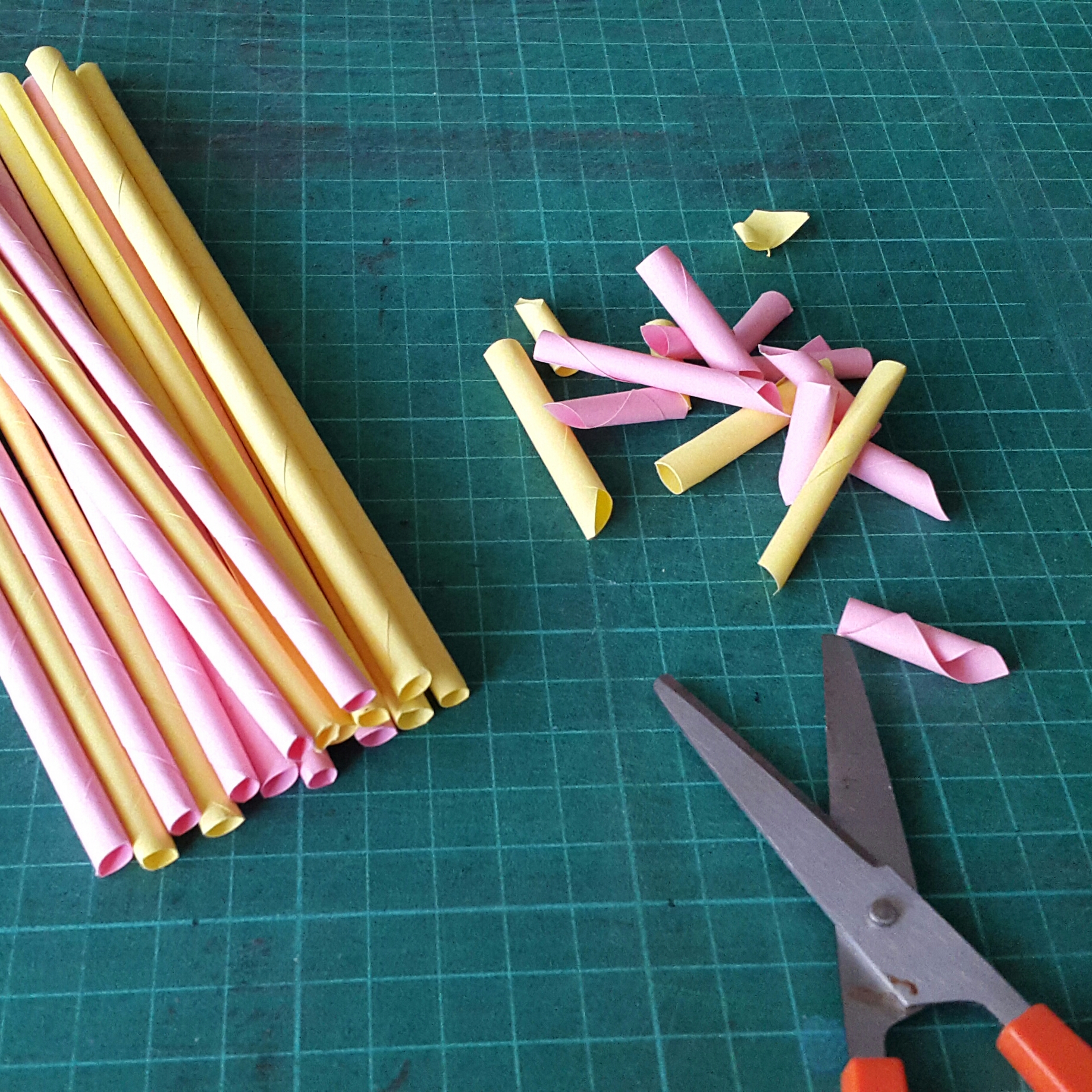 20180727_173826-1.jpg