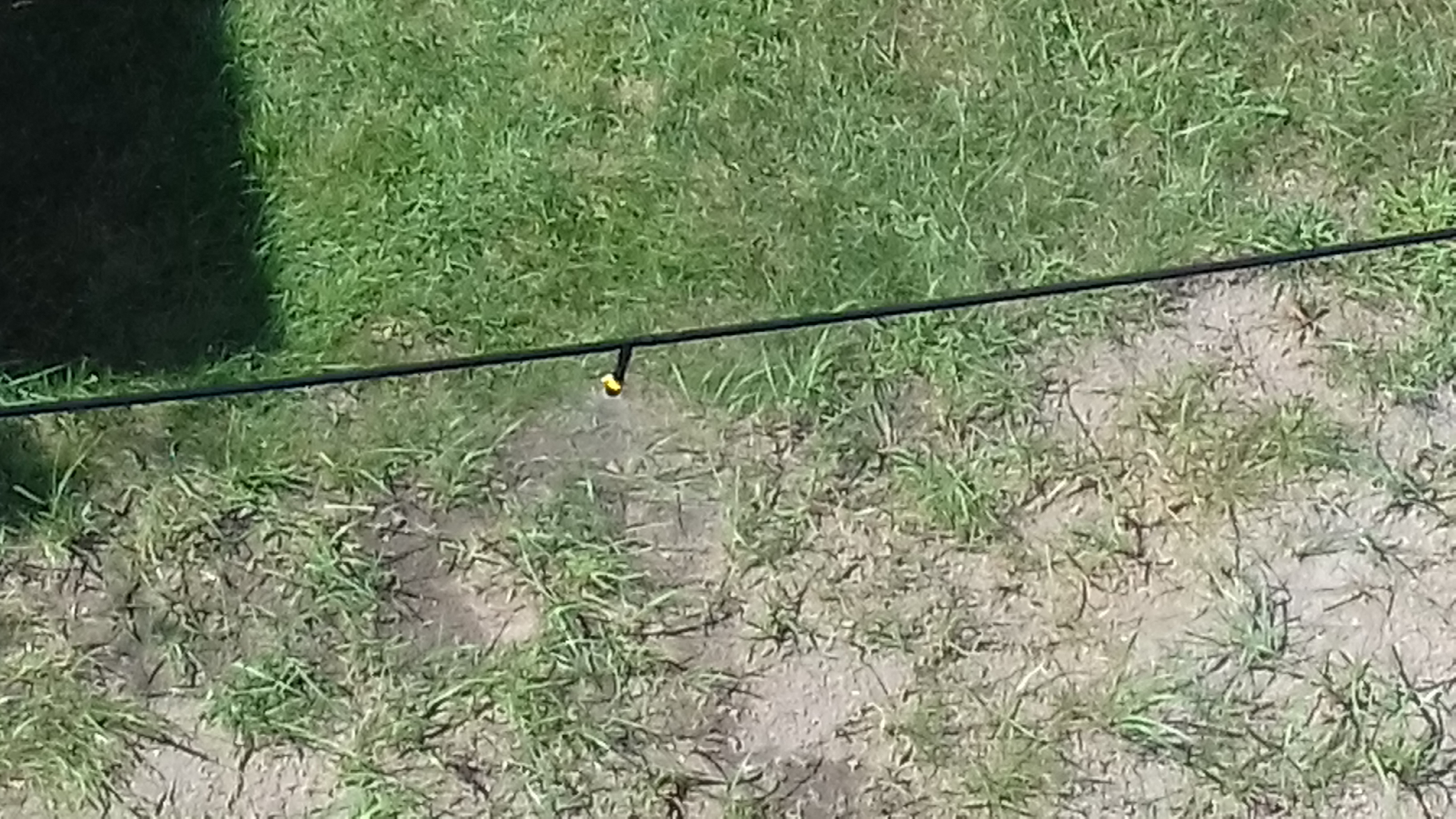 20180808_140430.jpg