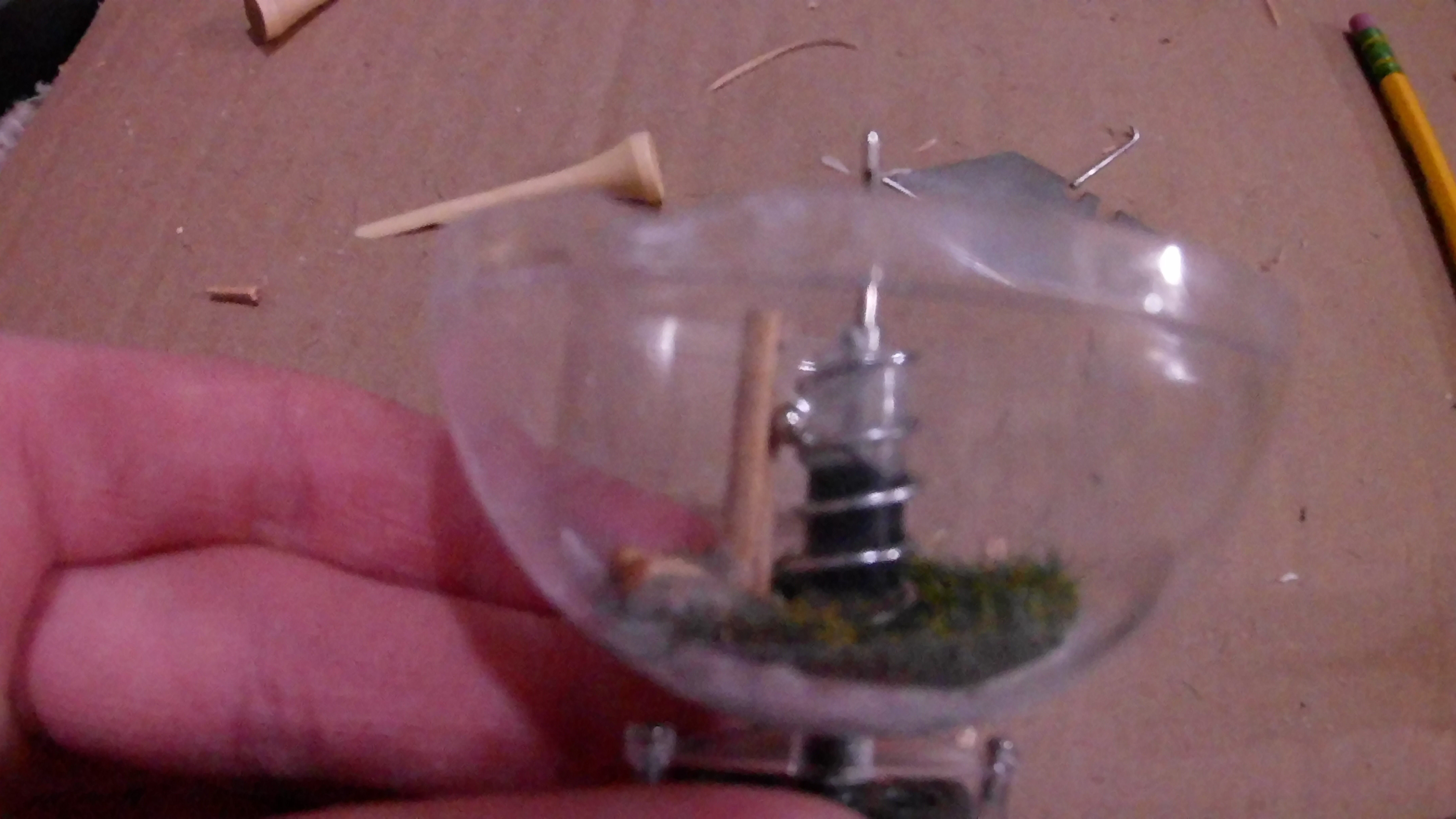 20181001_003929.JPG