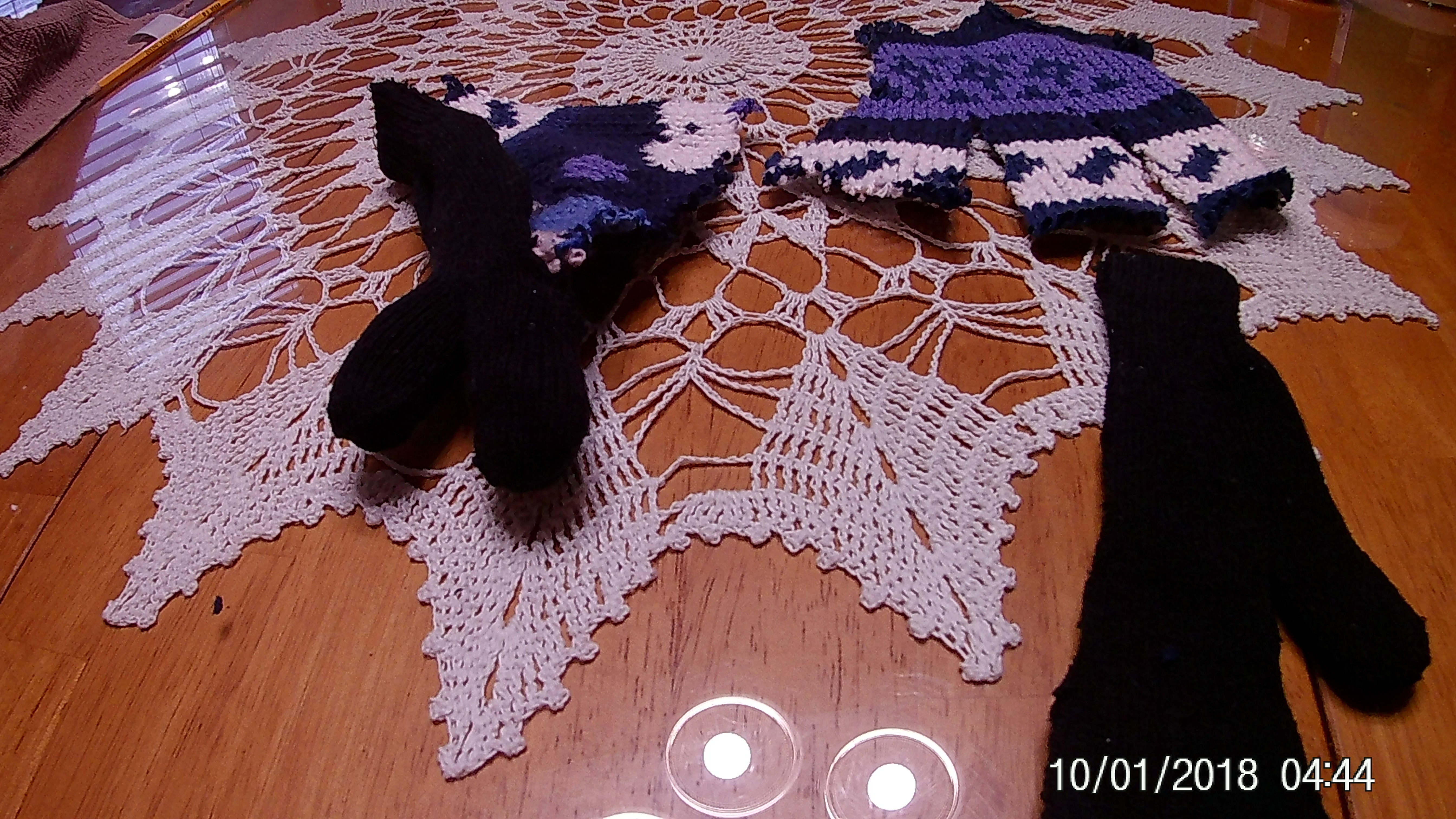 20181001_044424.JPG