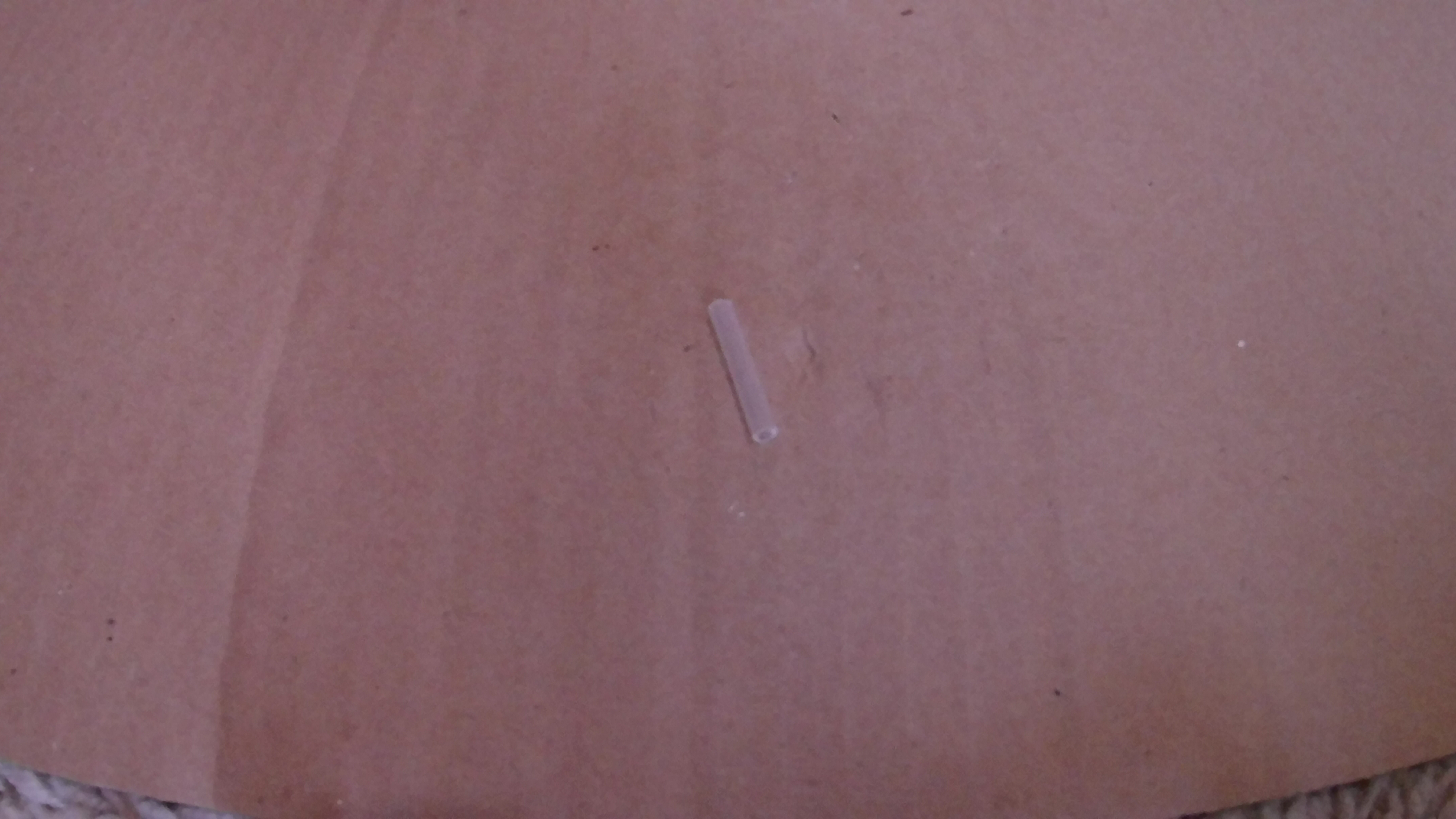 20181001_124405.JPG