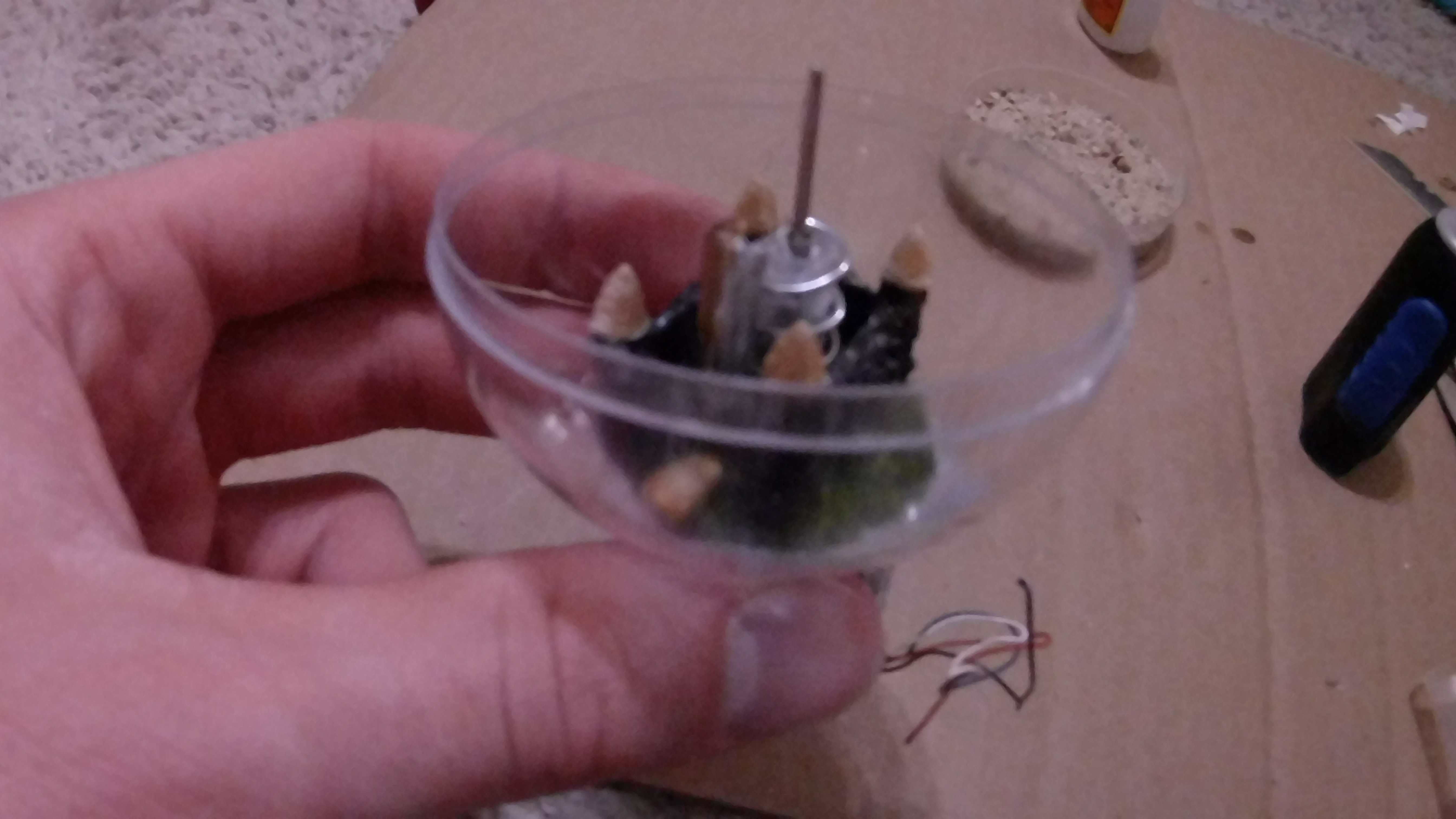 20181008_034203.JPG