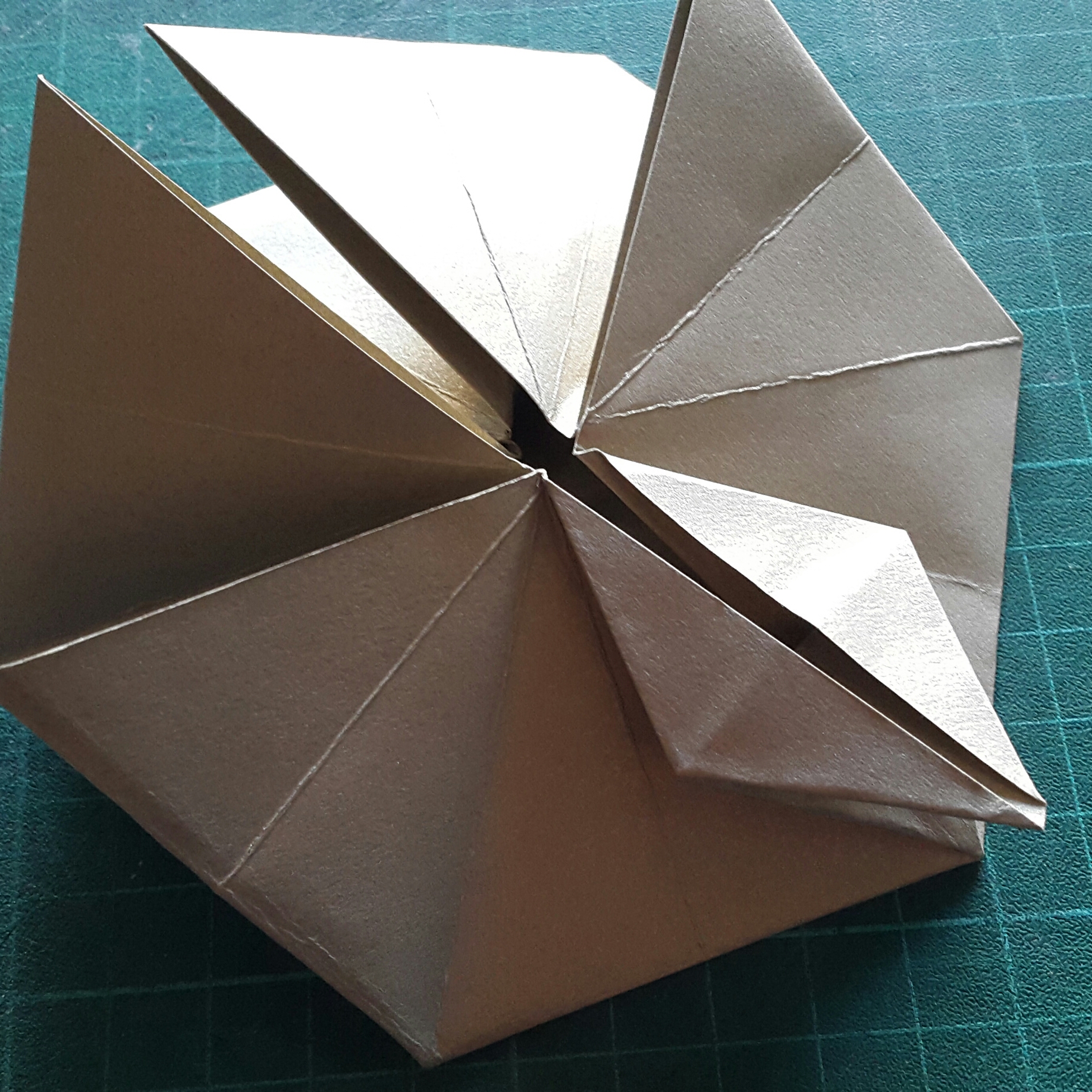 20181205_105625-1.jpg