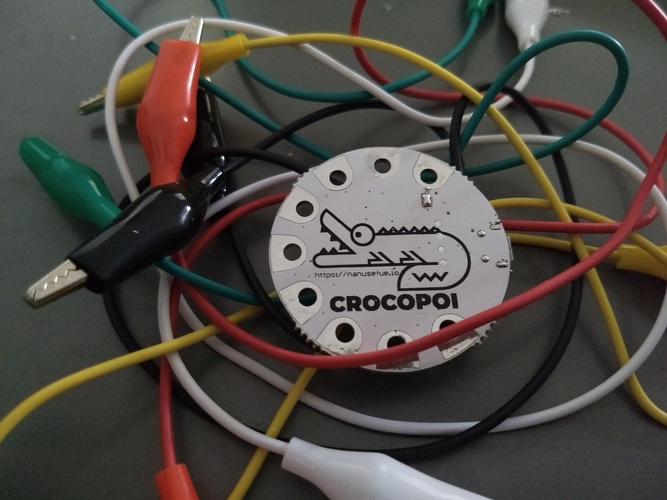 2019-02-16T11_13_22.382Z-crocopoi4.jpg