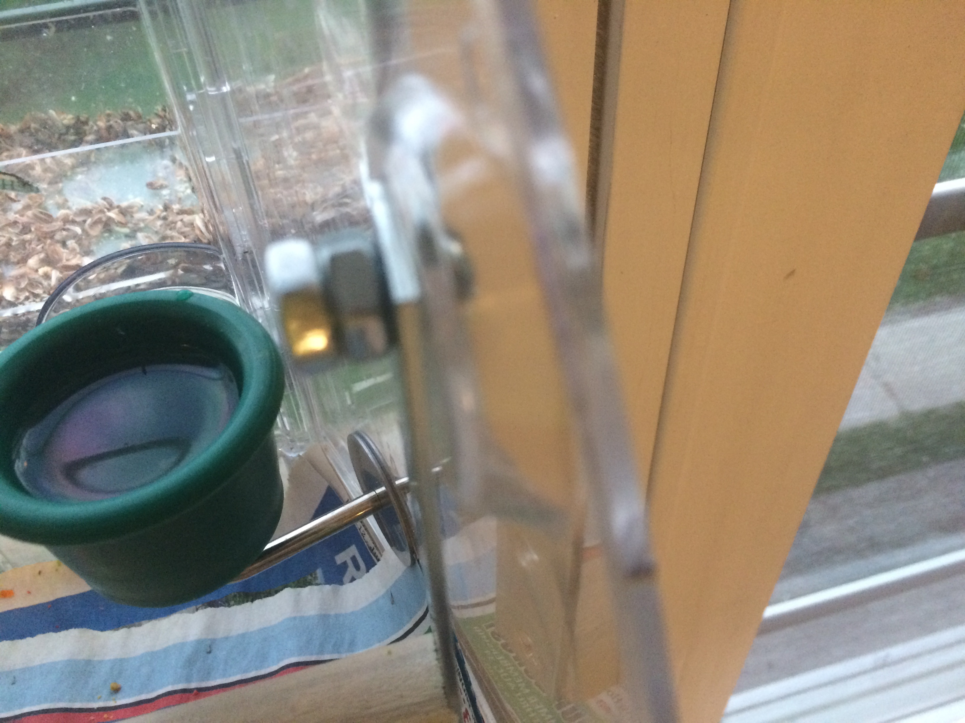 2019-06-28_20-41-31_792.jpeg
