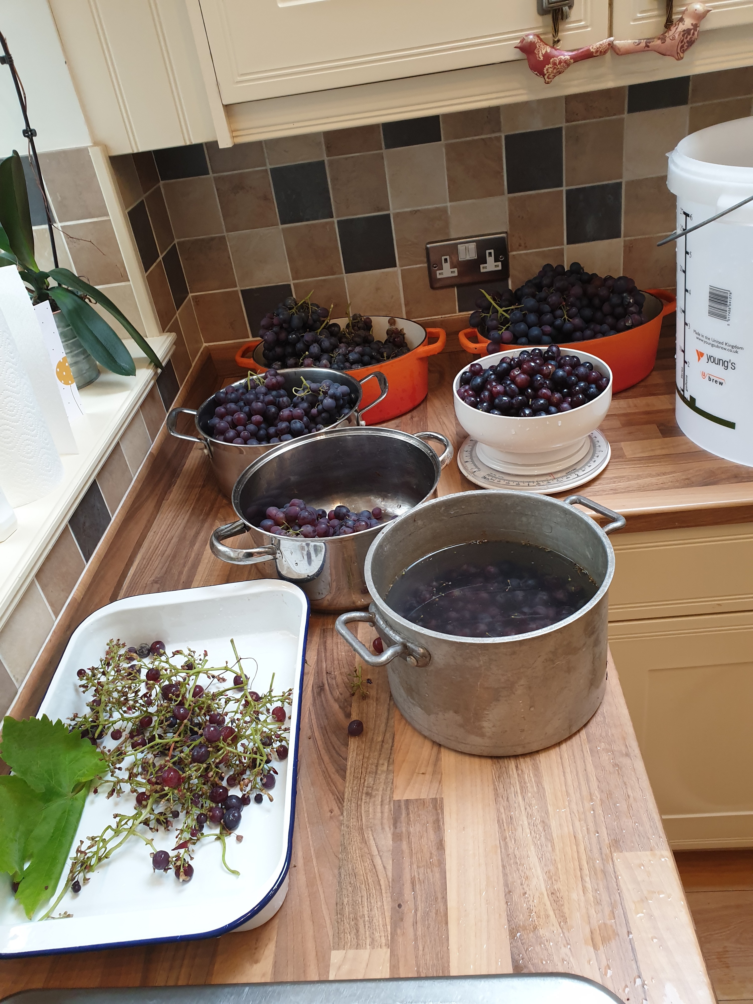 2019-10-16 09.51.59.jpg