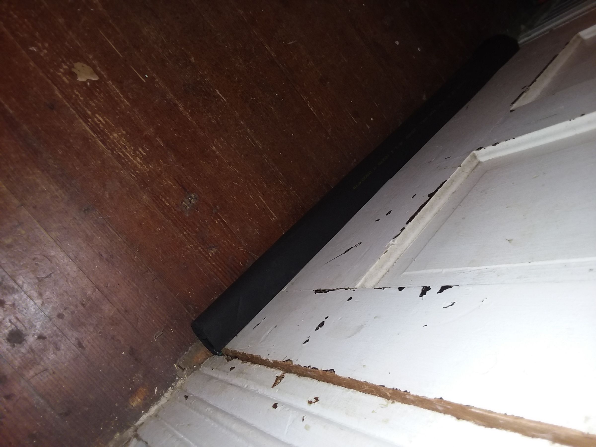 20190121_132933[1].jpg