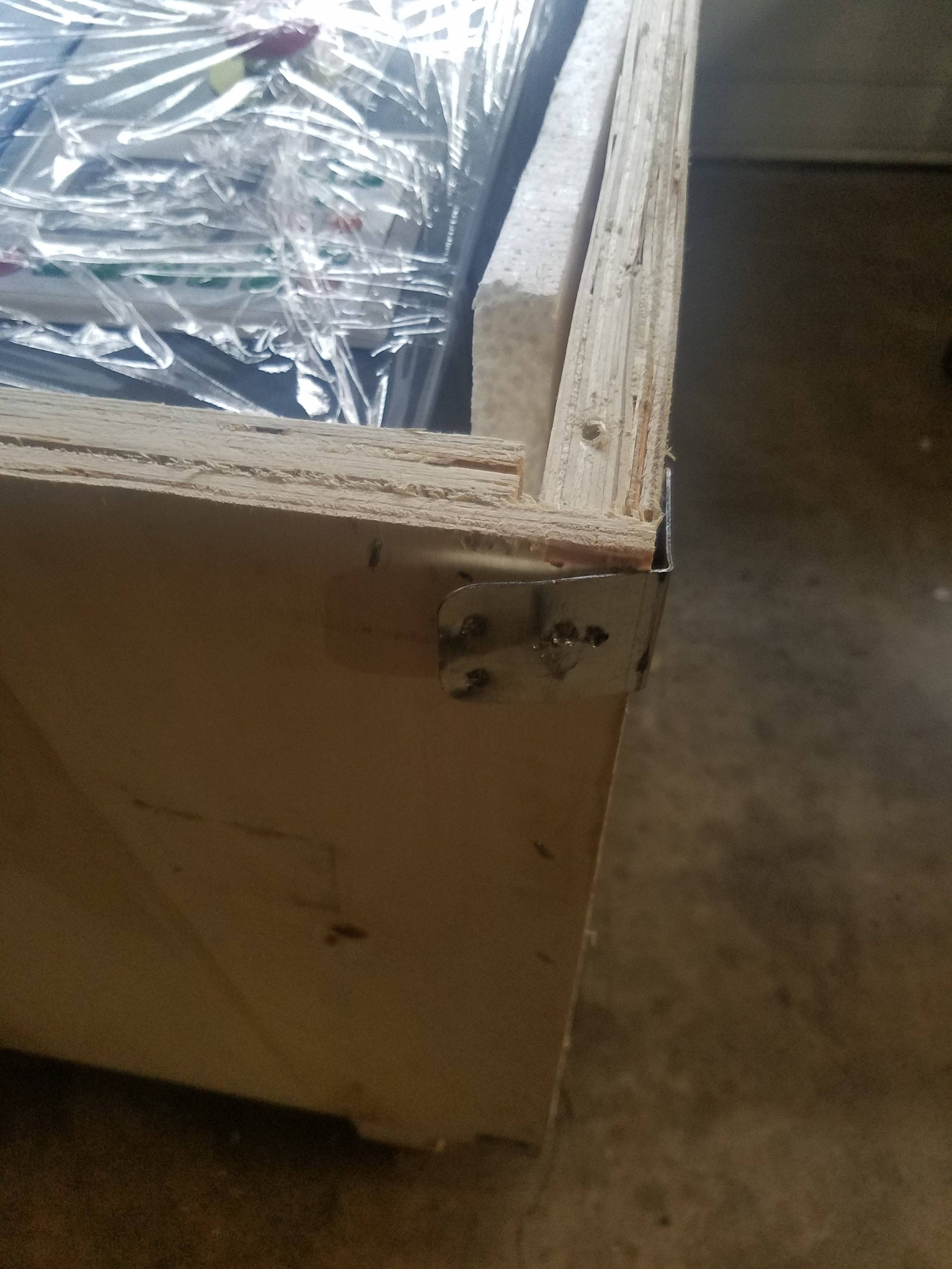 20190227_165817.jpg