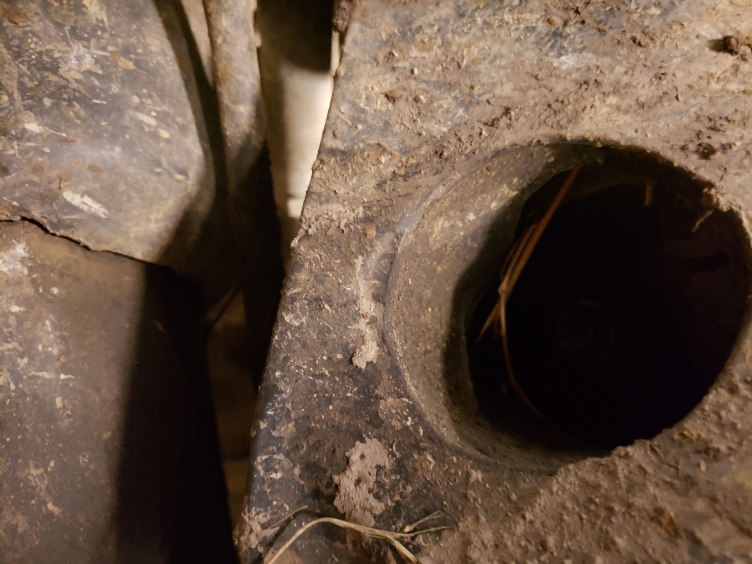 20190404_211000.jpg
