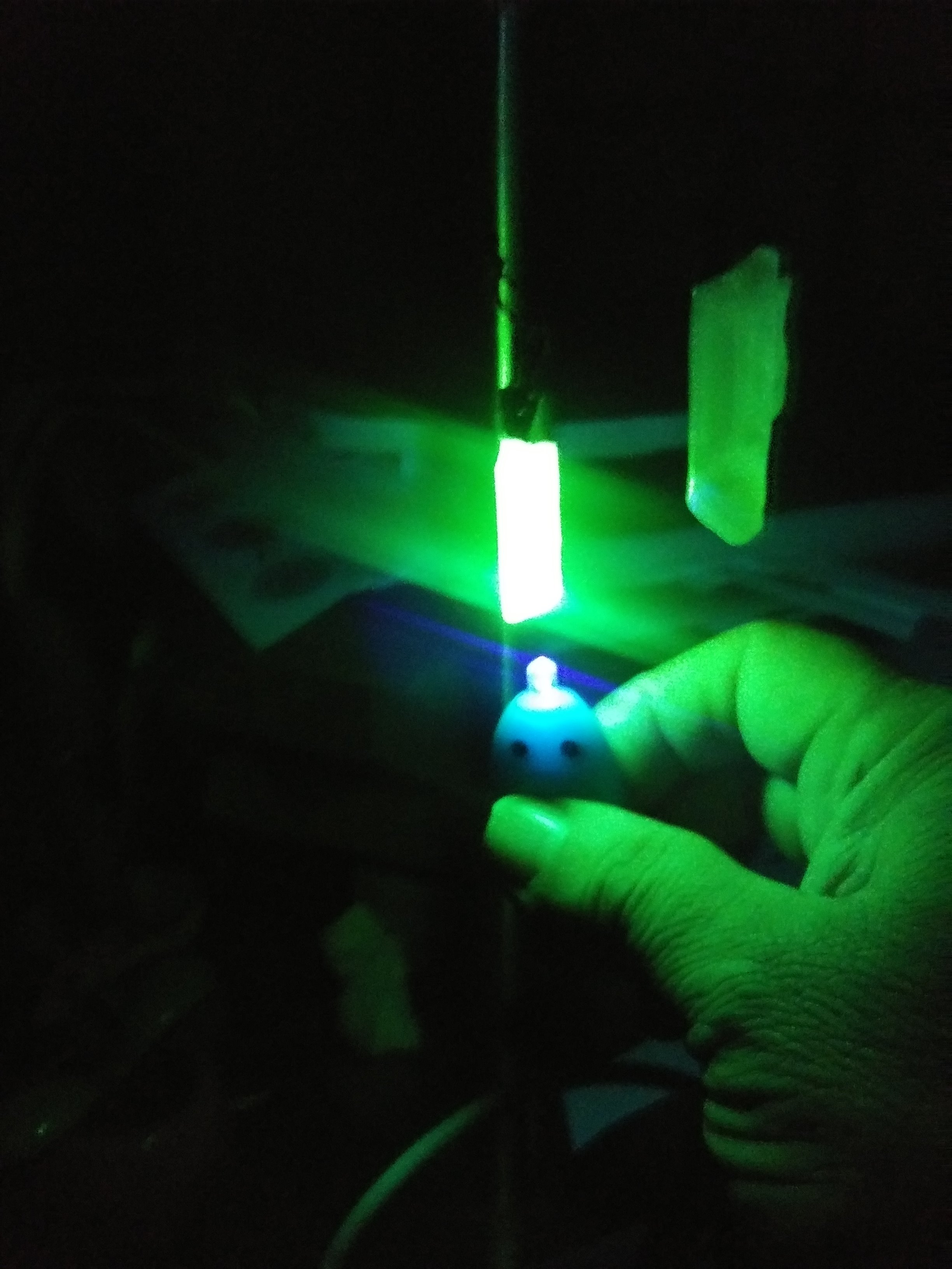20190405_012420_HDR.jpg