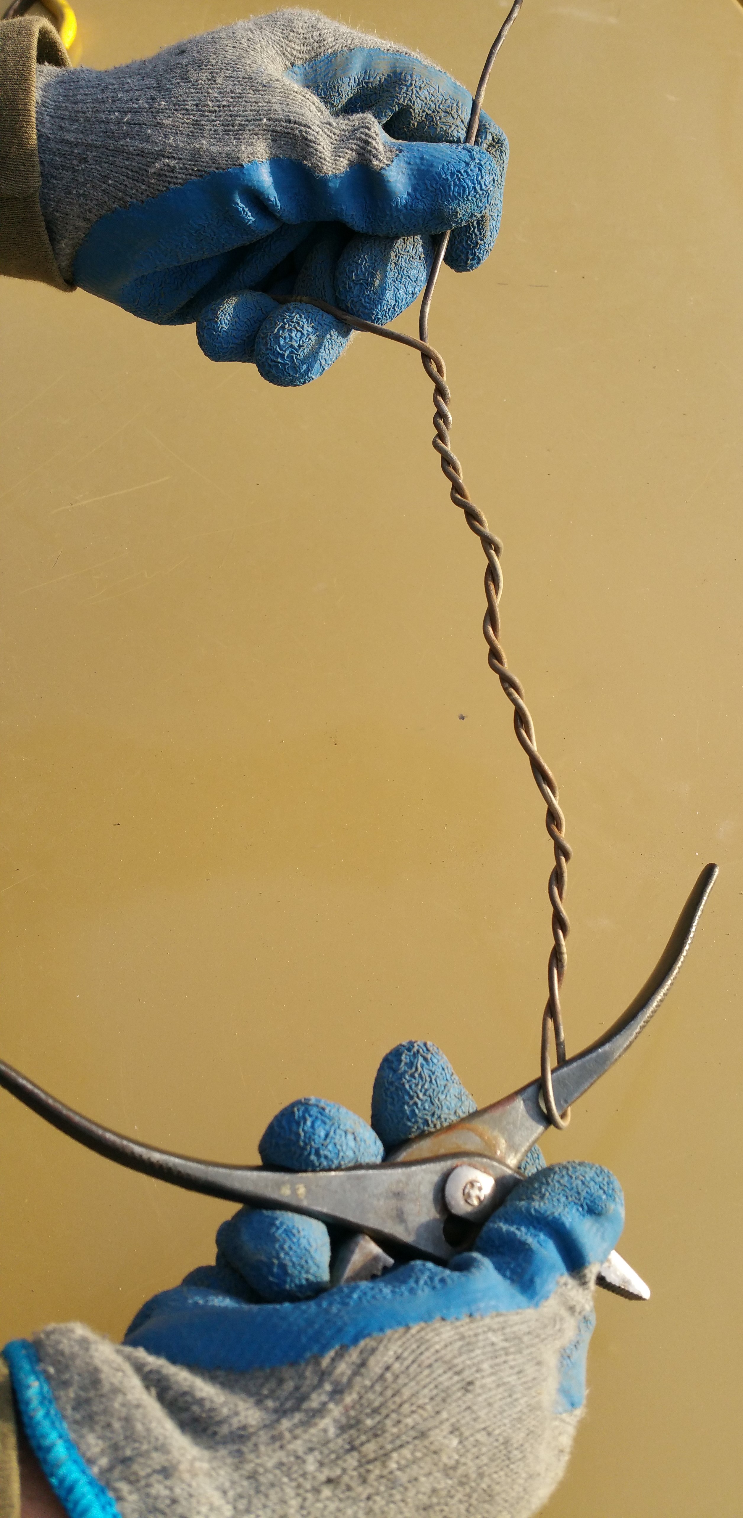 20190413_184439_001.jpg