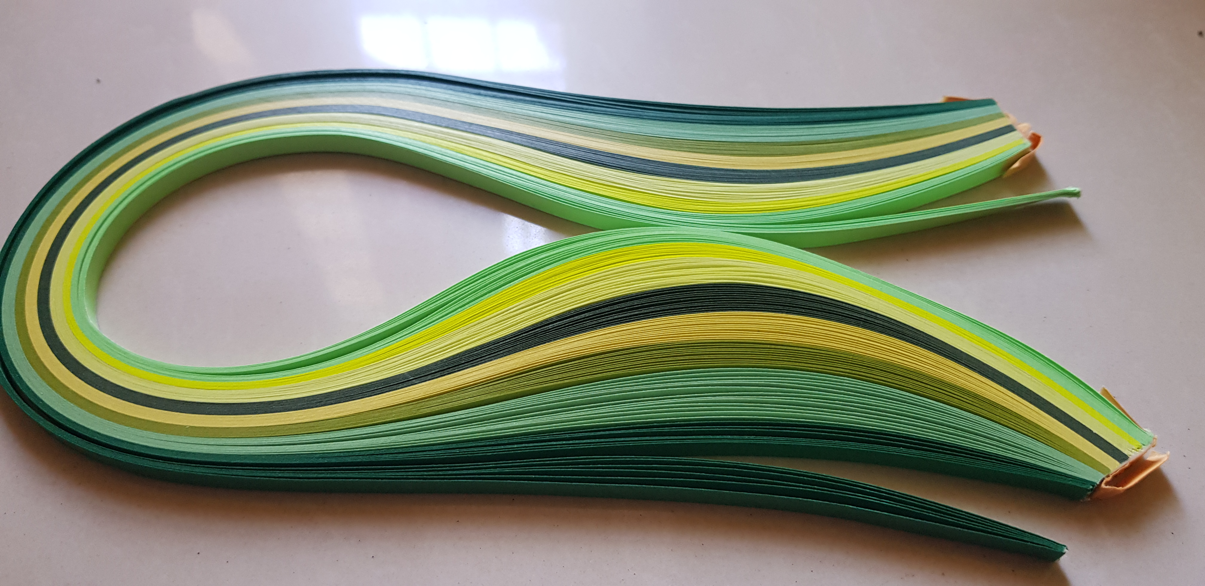 20190419_152418.jpg