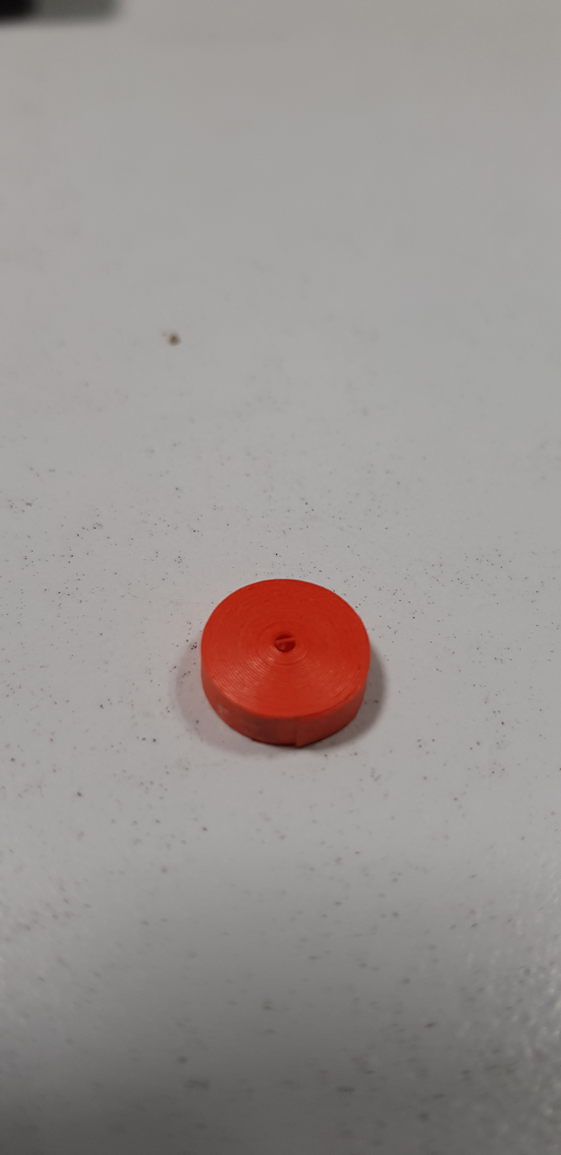 20190425_125427.jpg