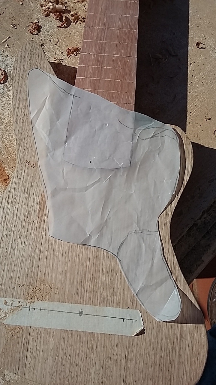 20190520_123040.jpg