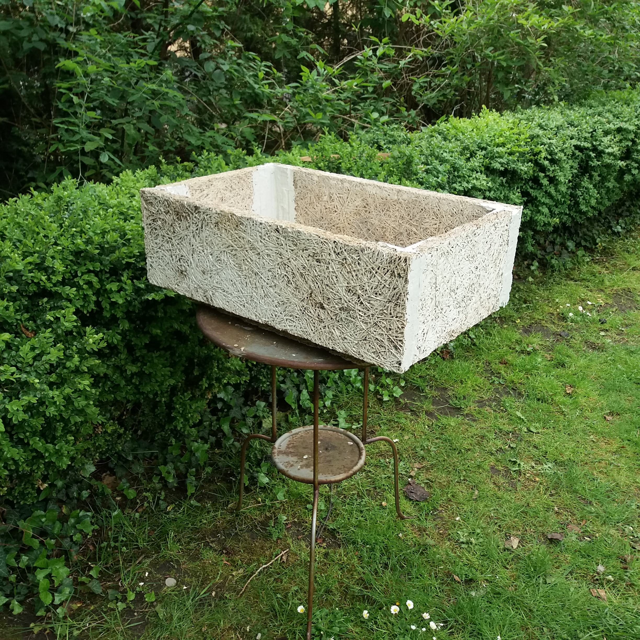 20190527_101407.jpg