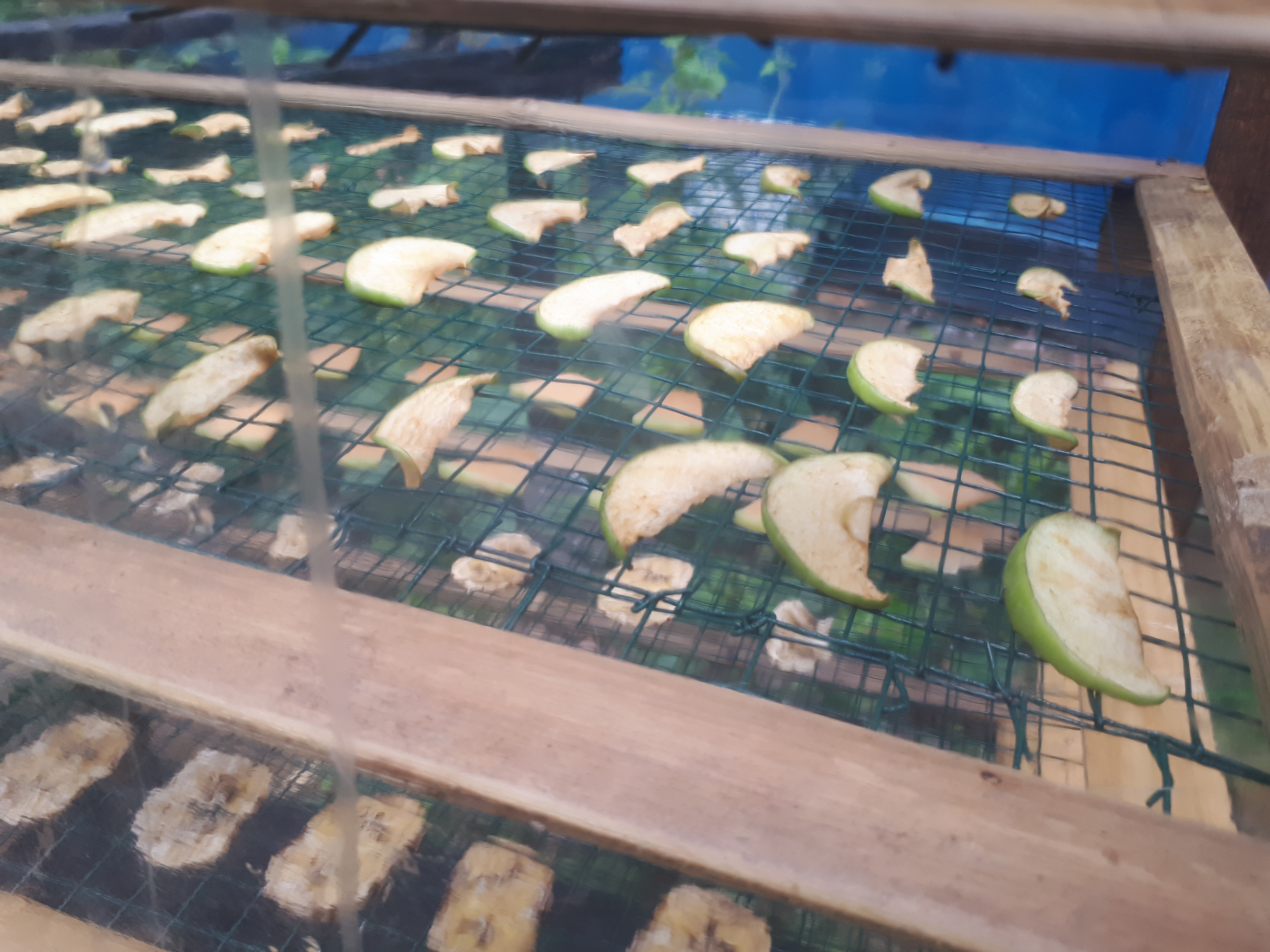 20190619_102355.jpg