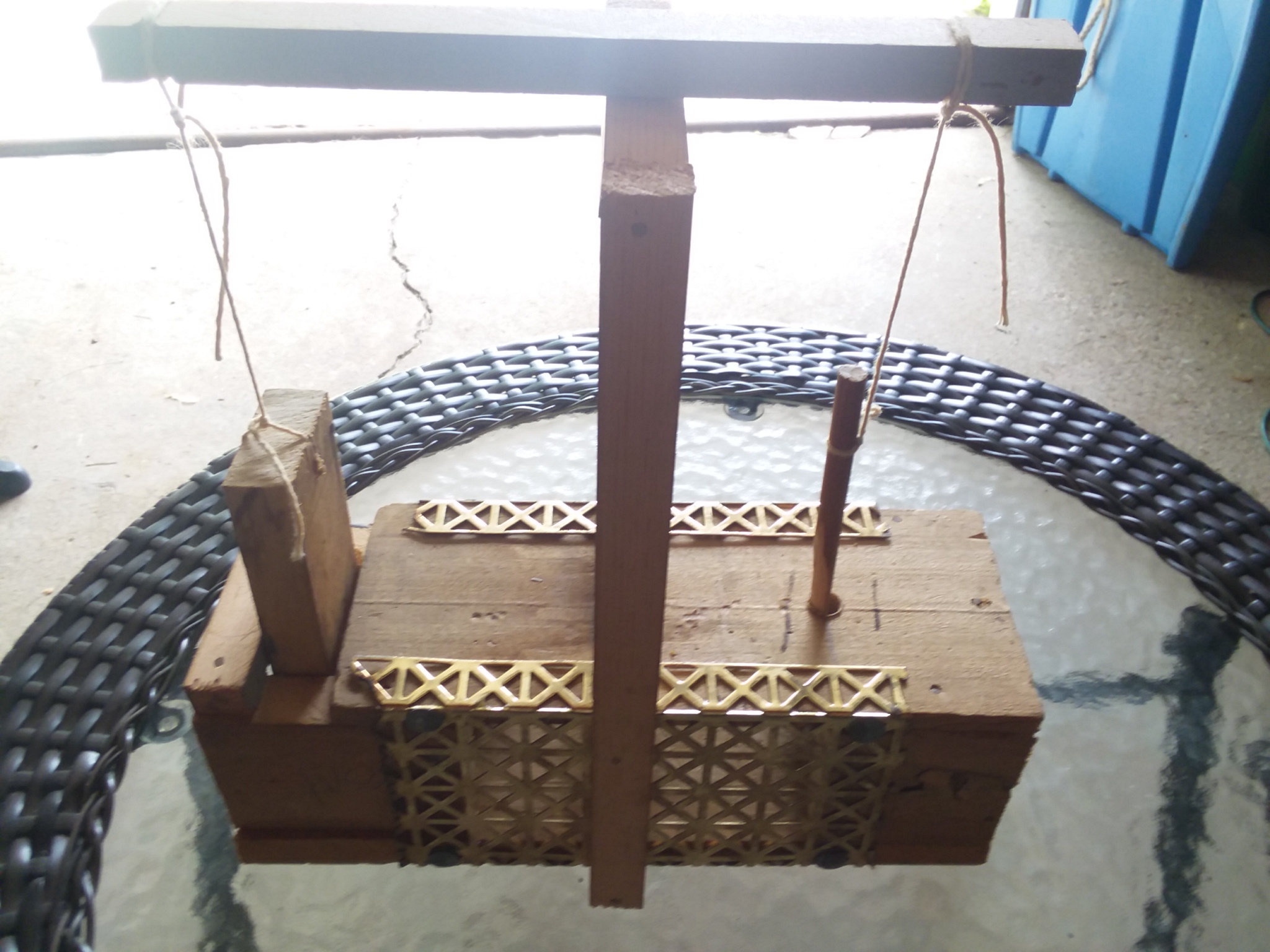 20190627_122555.jpg