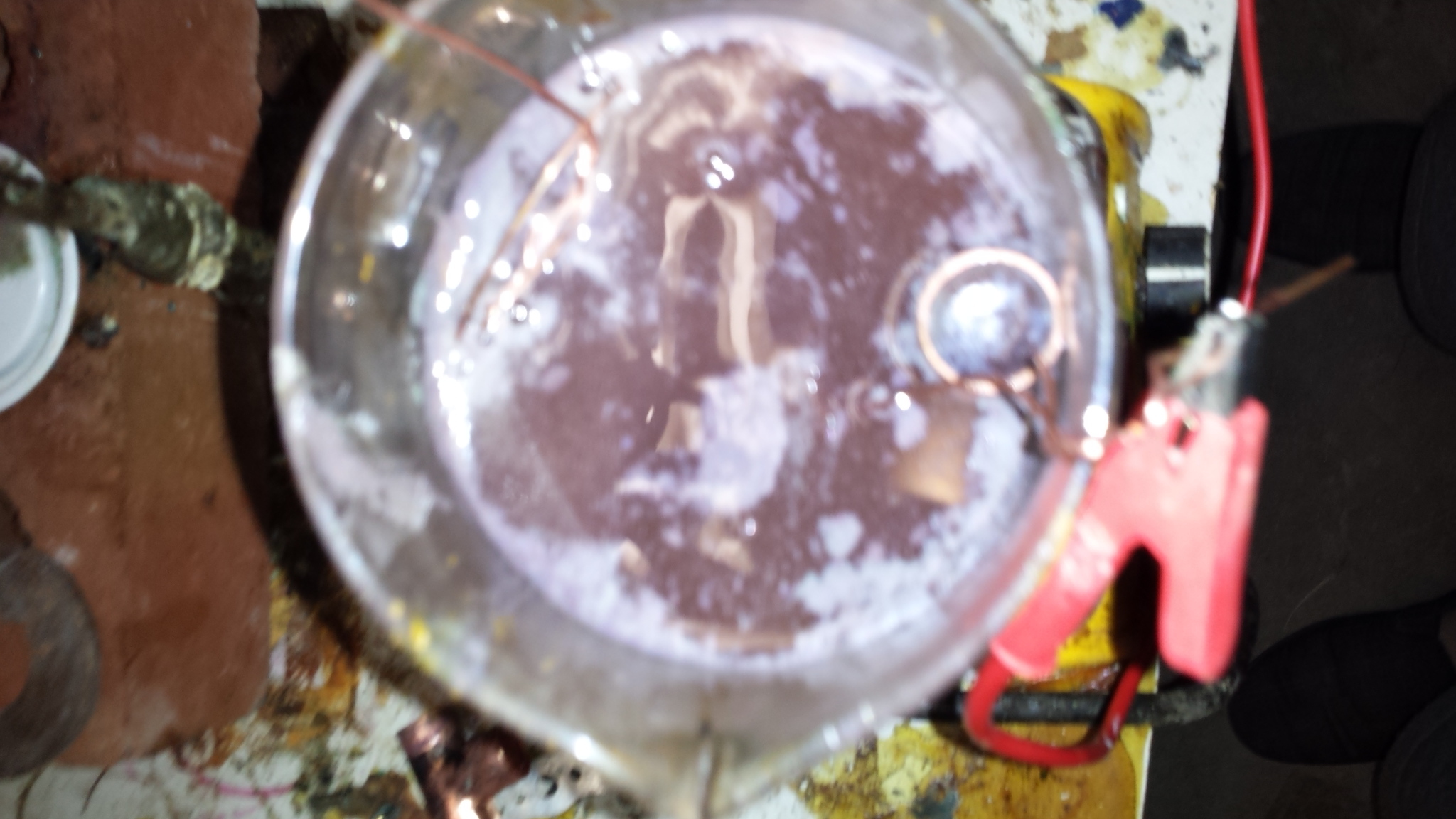 20191004_091119.jpg