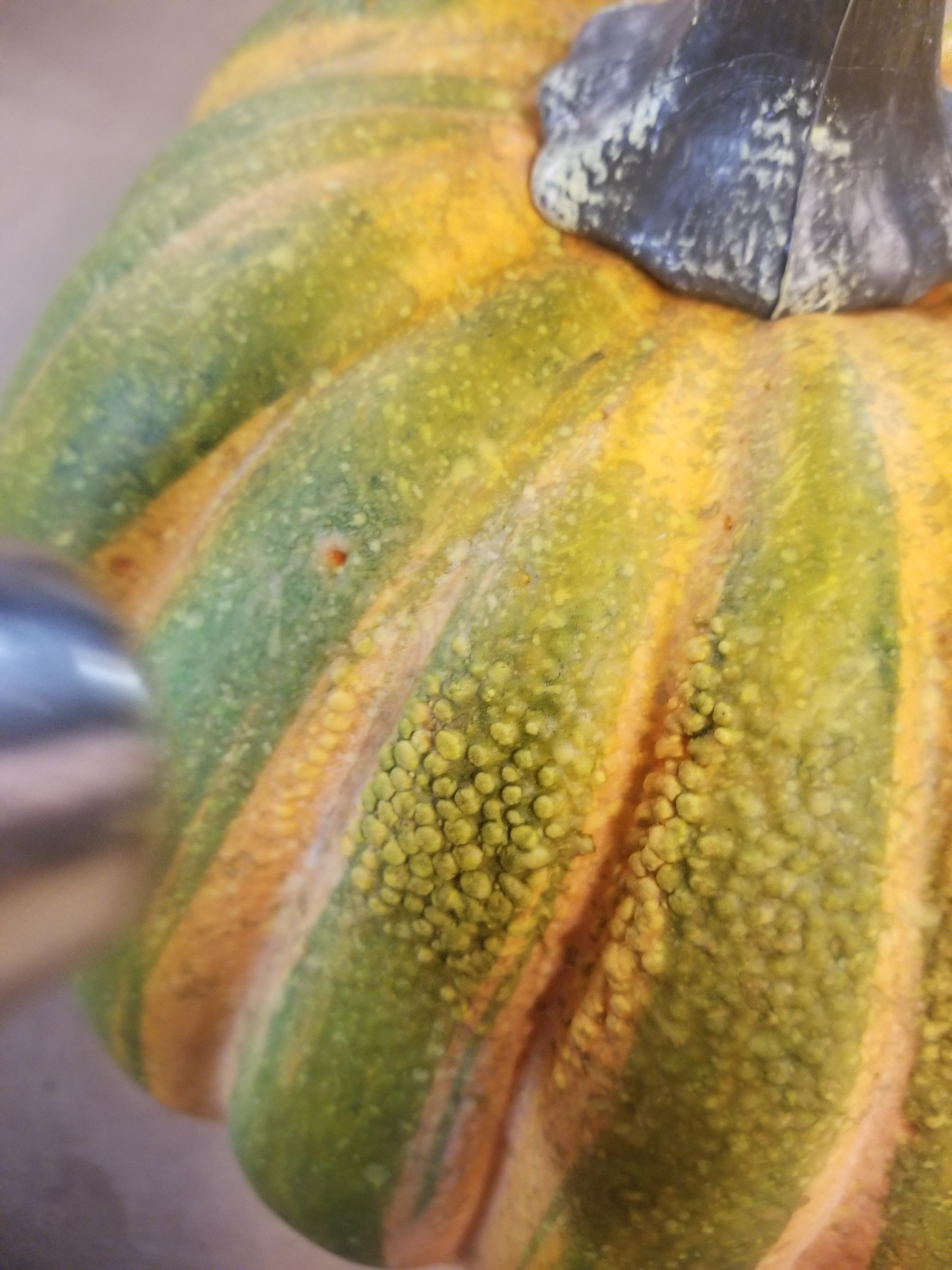 20191004_205811.jpg