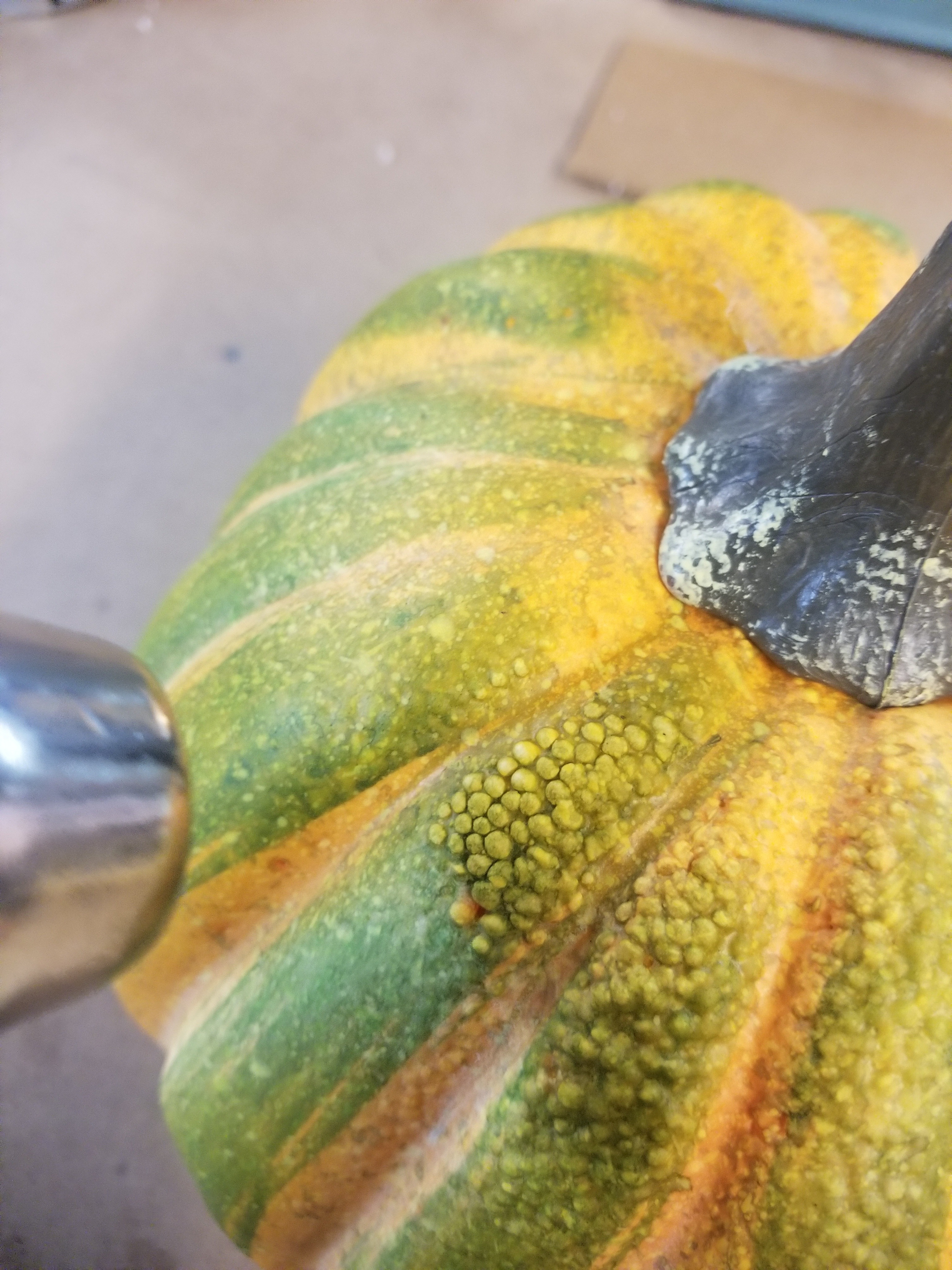 20191004_205819.jpg