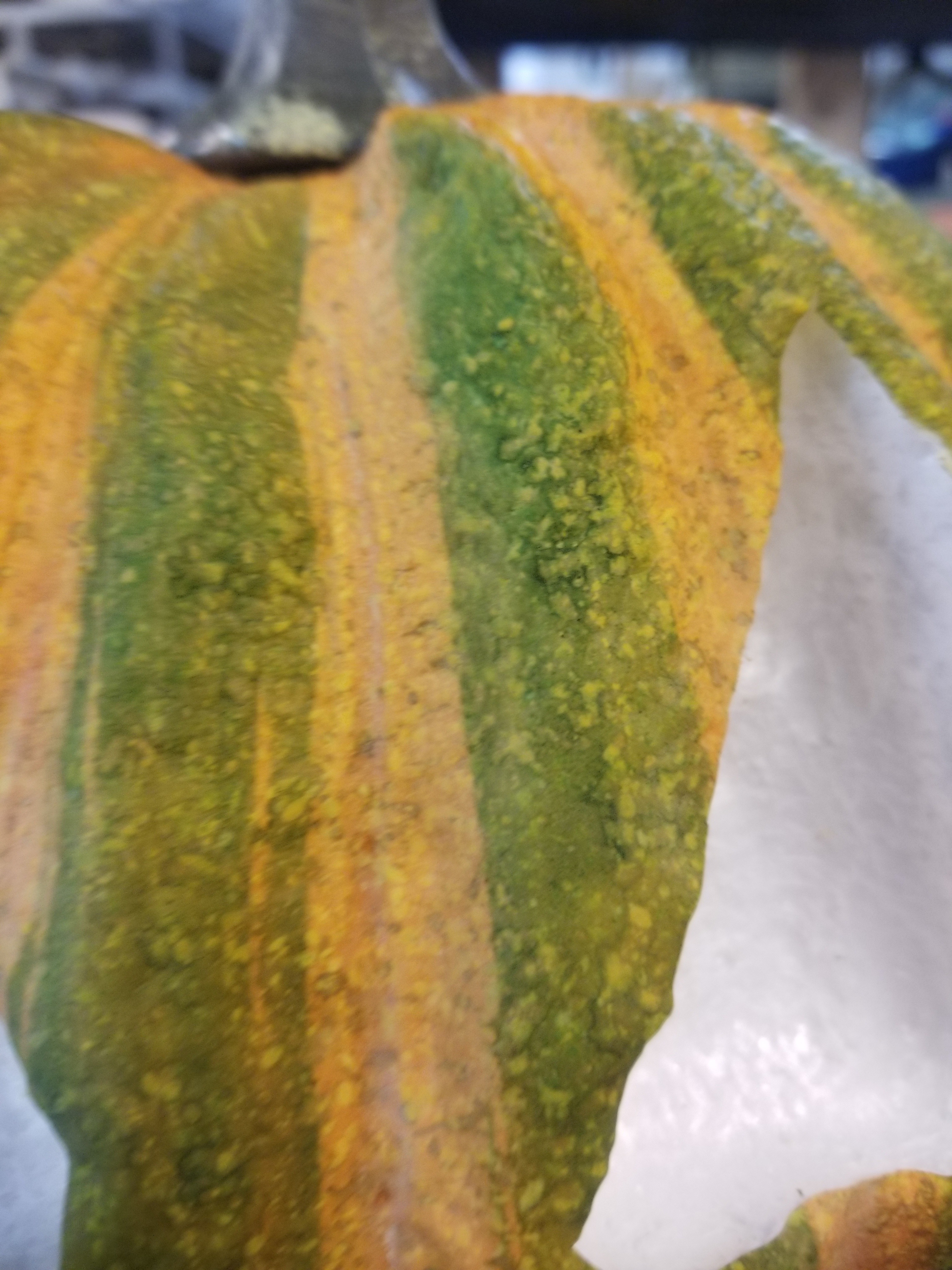 20191004_210546.jpg