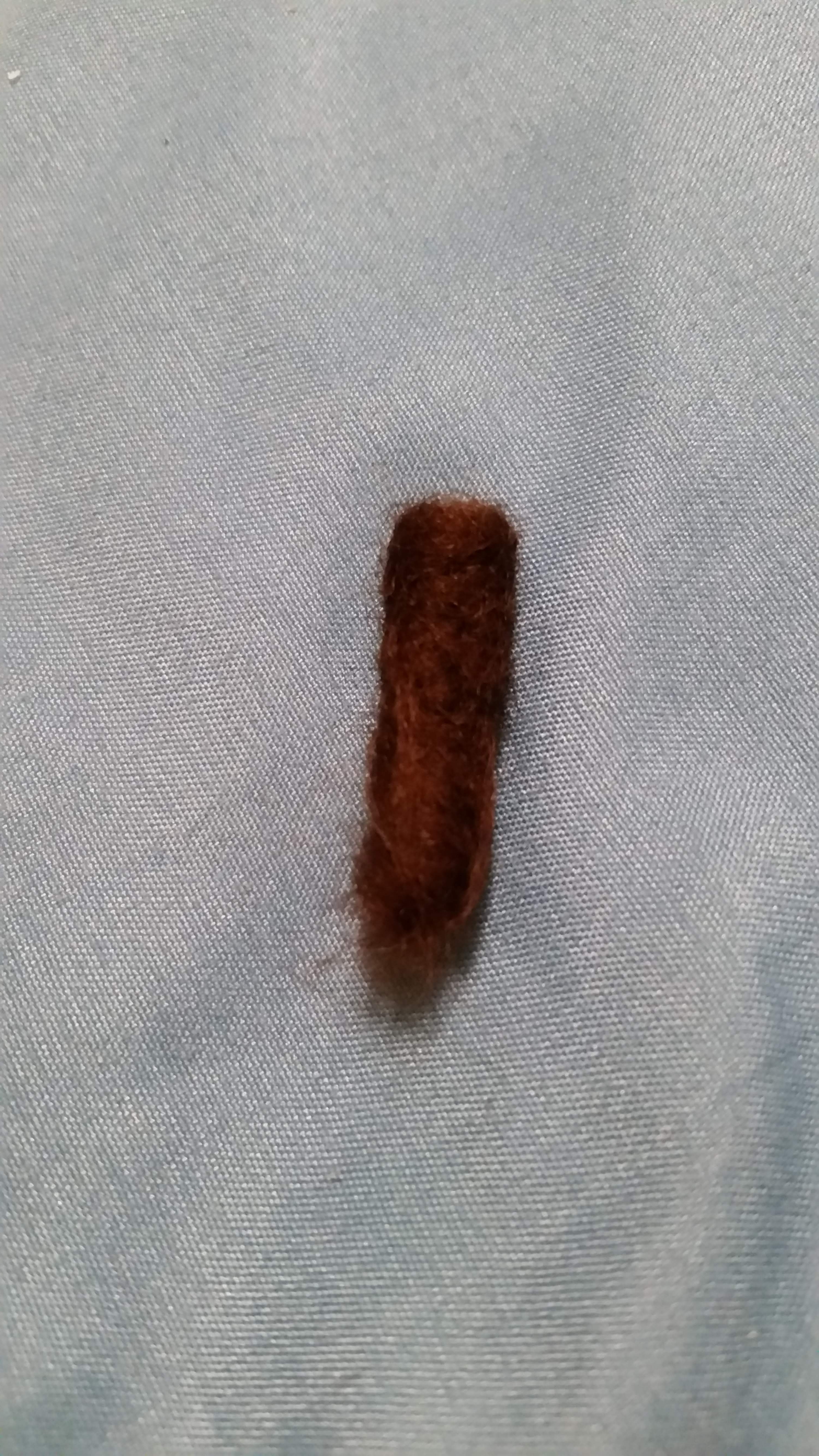 20191007_232346.jpg