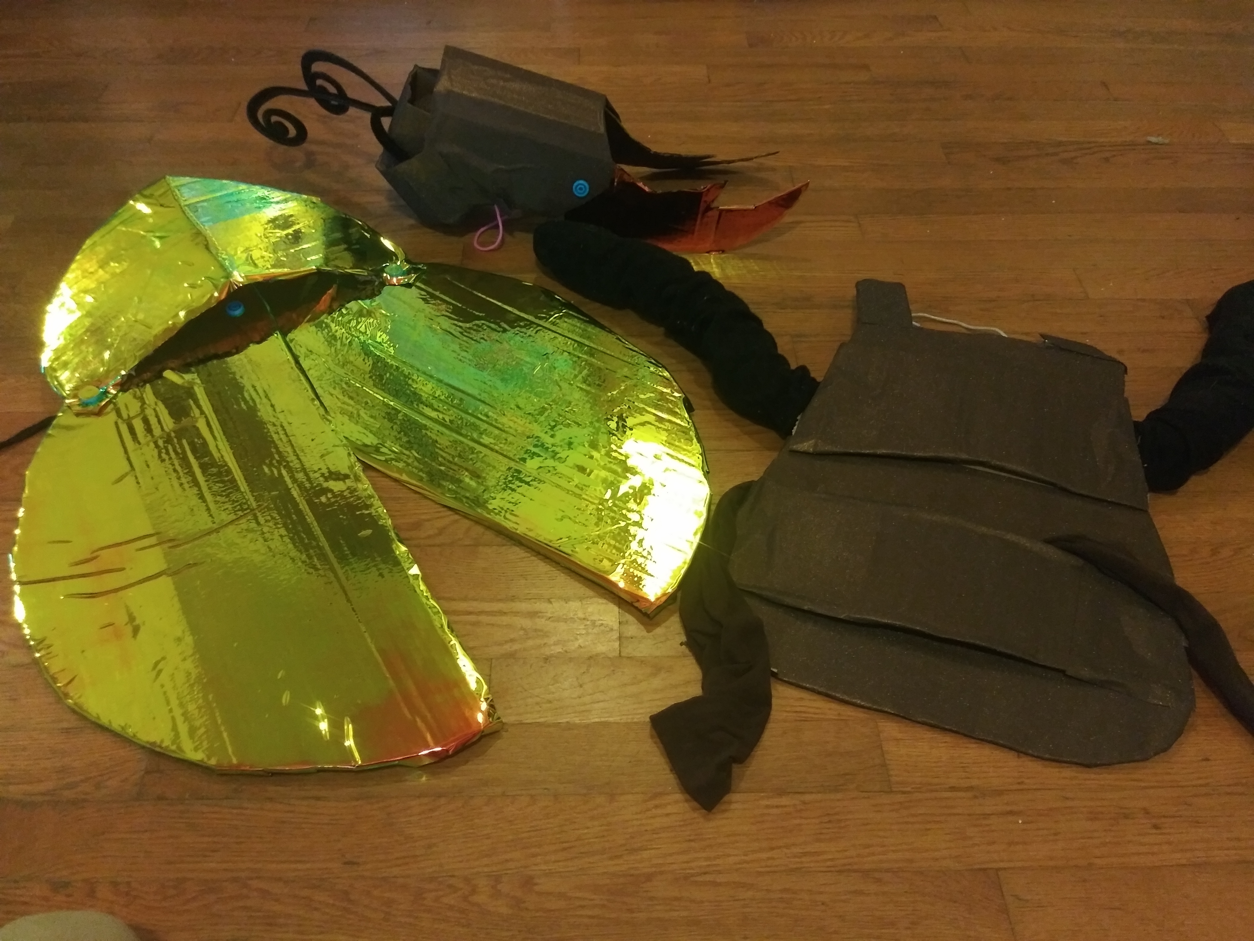 20191012_115643.jpg