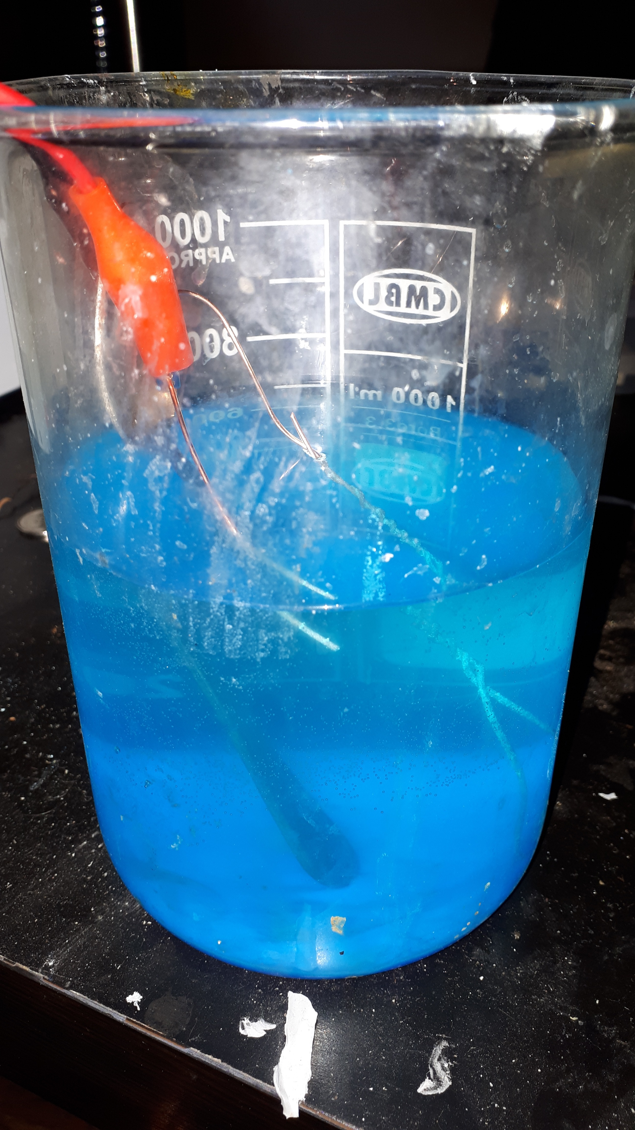 20191109_101749 (1).jpg