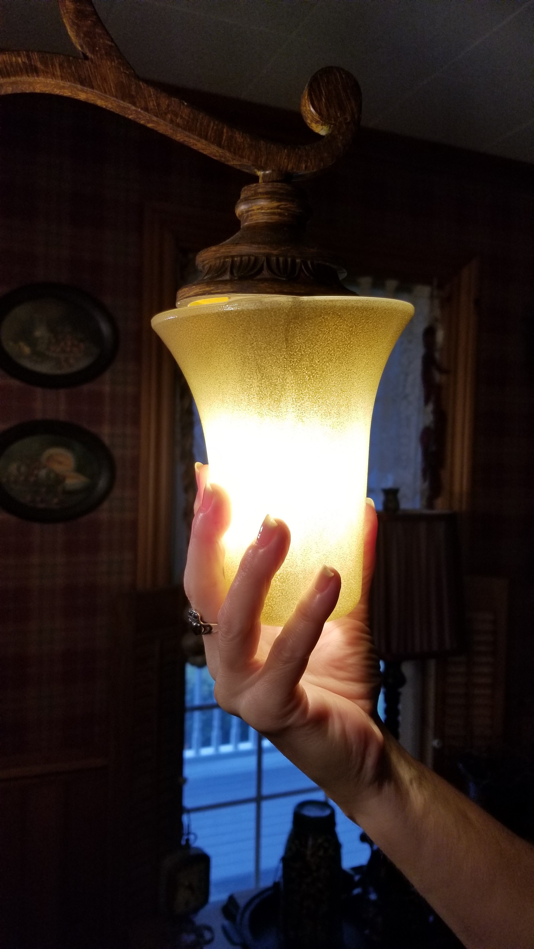 20191110_155139.jpg