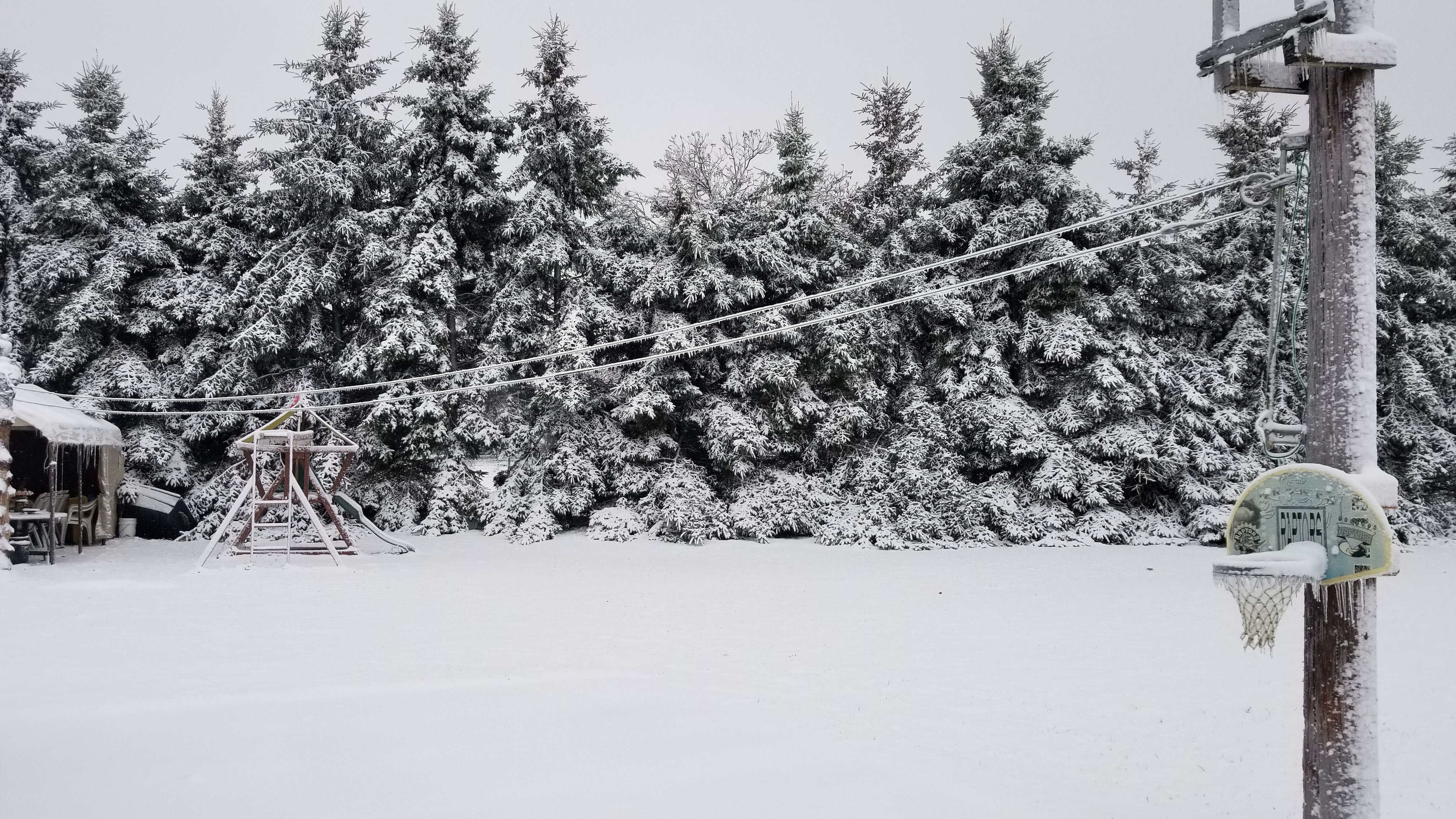 20191202_100525.jpg