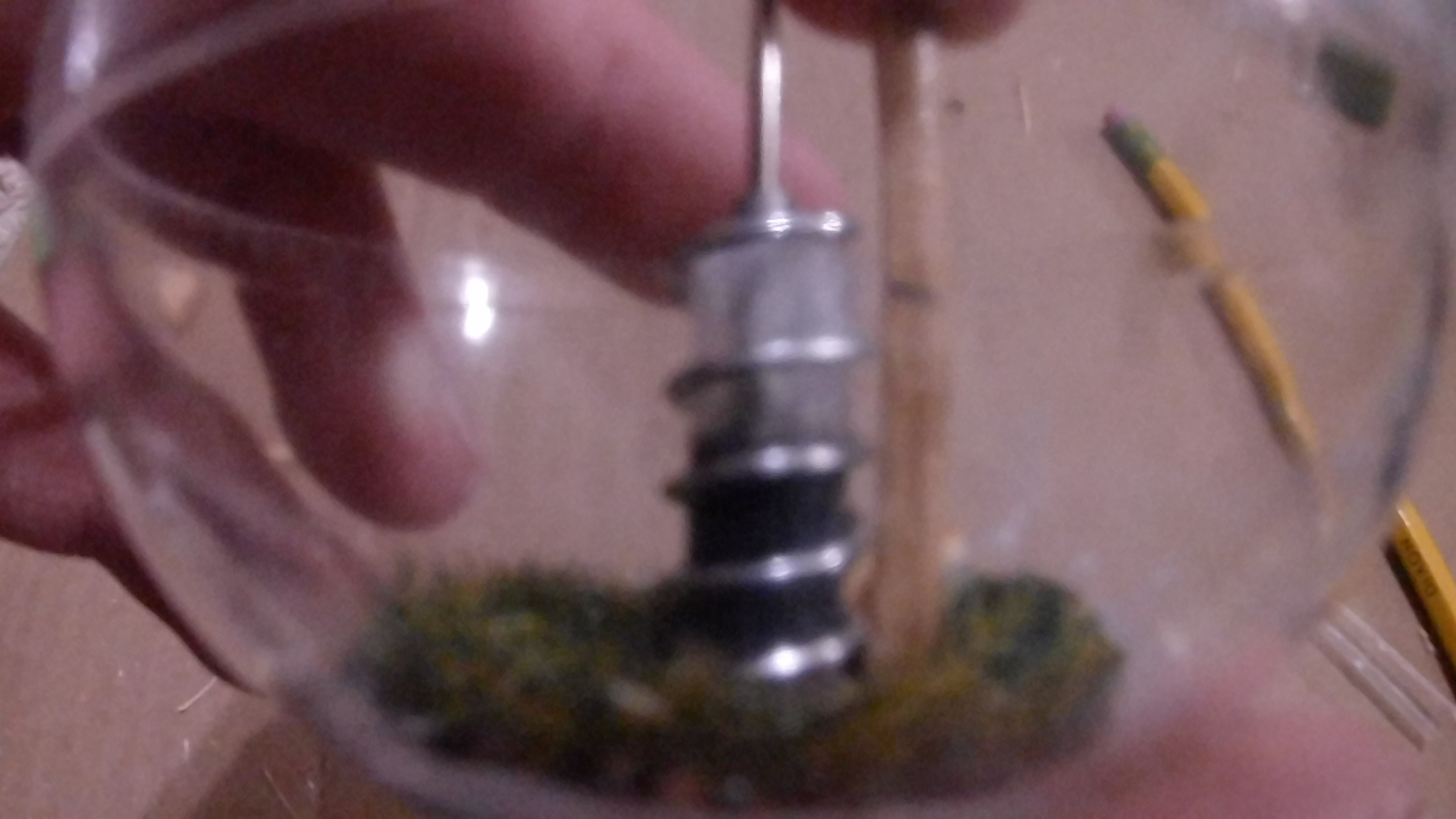 20200321_102520.JPG