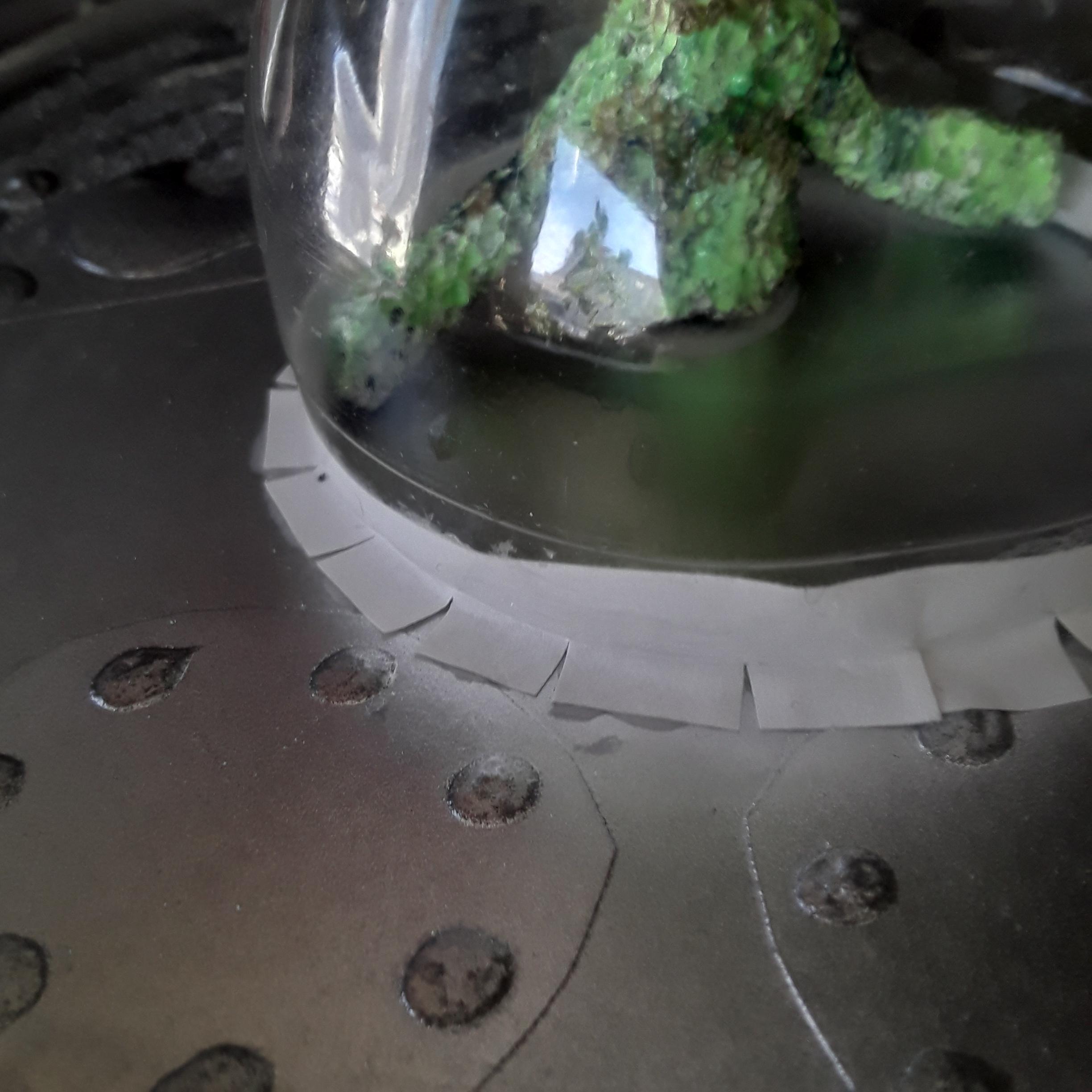 20201214_144509.jpg