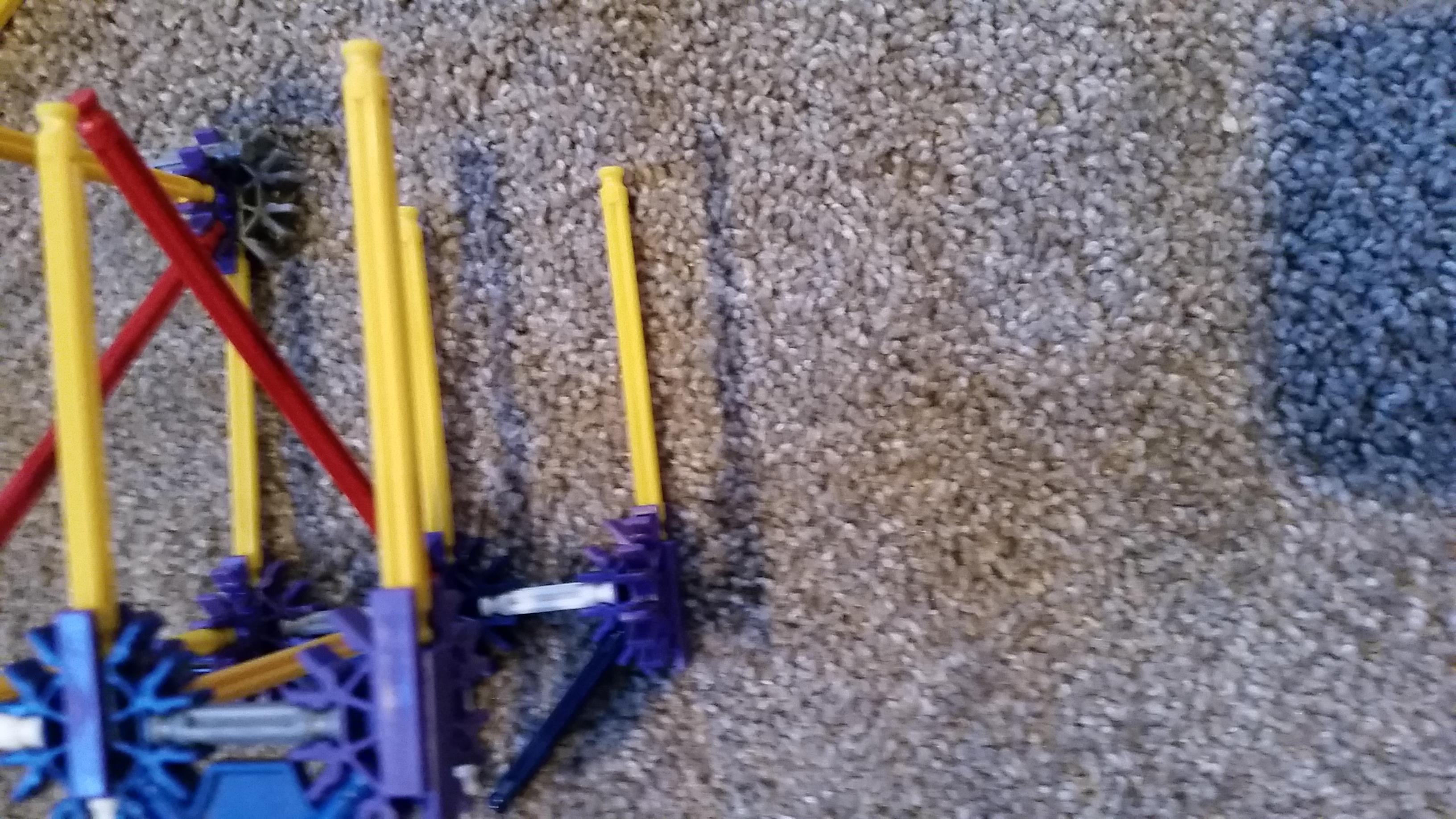 20210128_124531.jpg