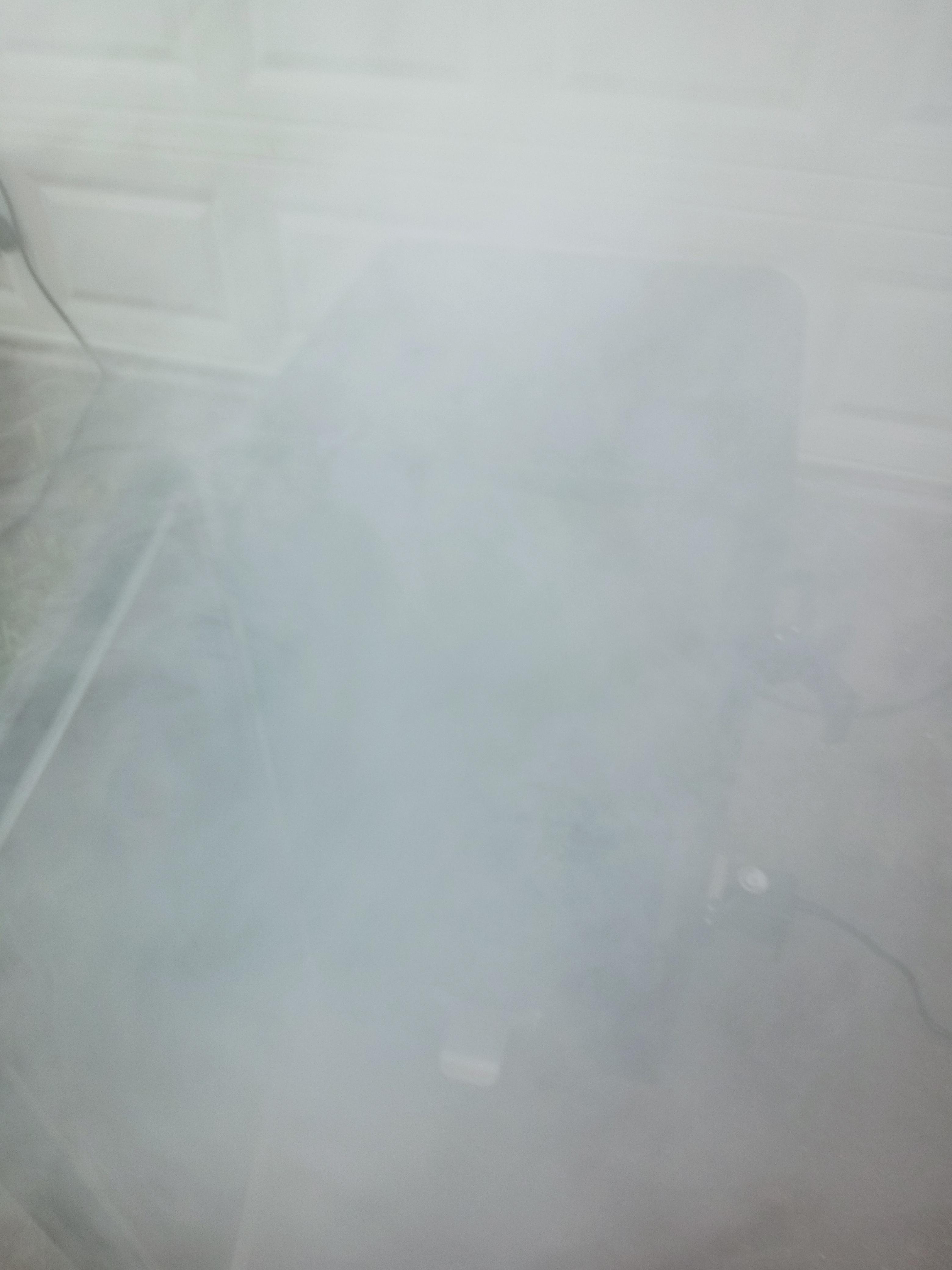 20210615_165511.jpg