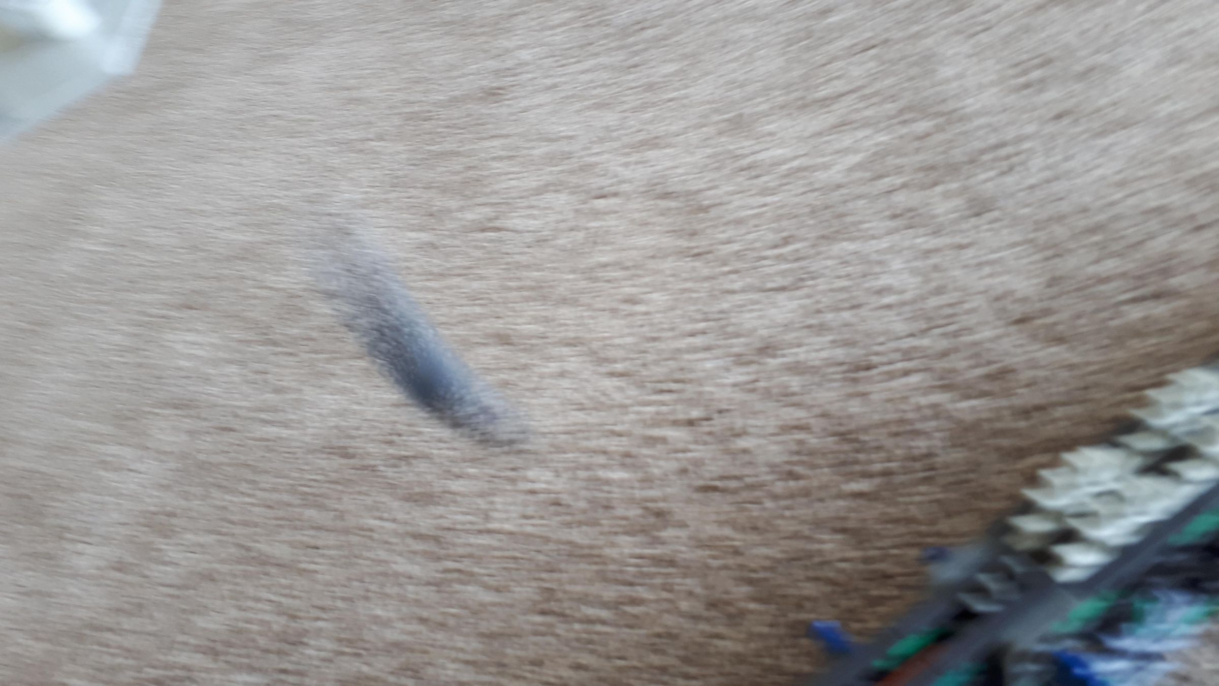 20210713_131506.jpg