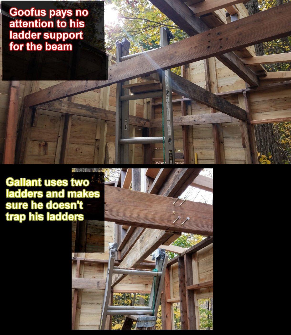 20211029_122139goofusgallantladder.jpg