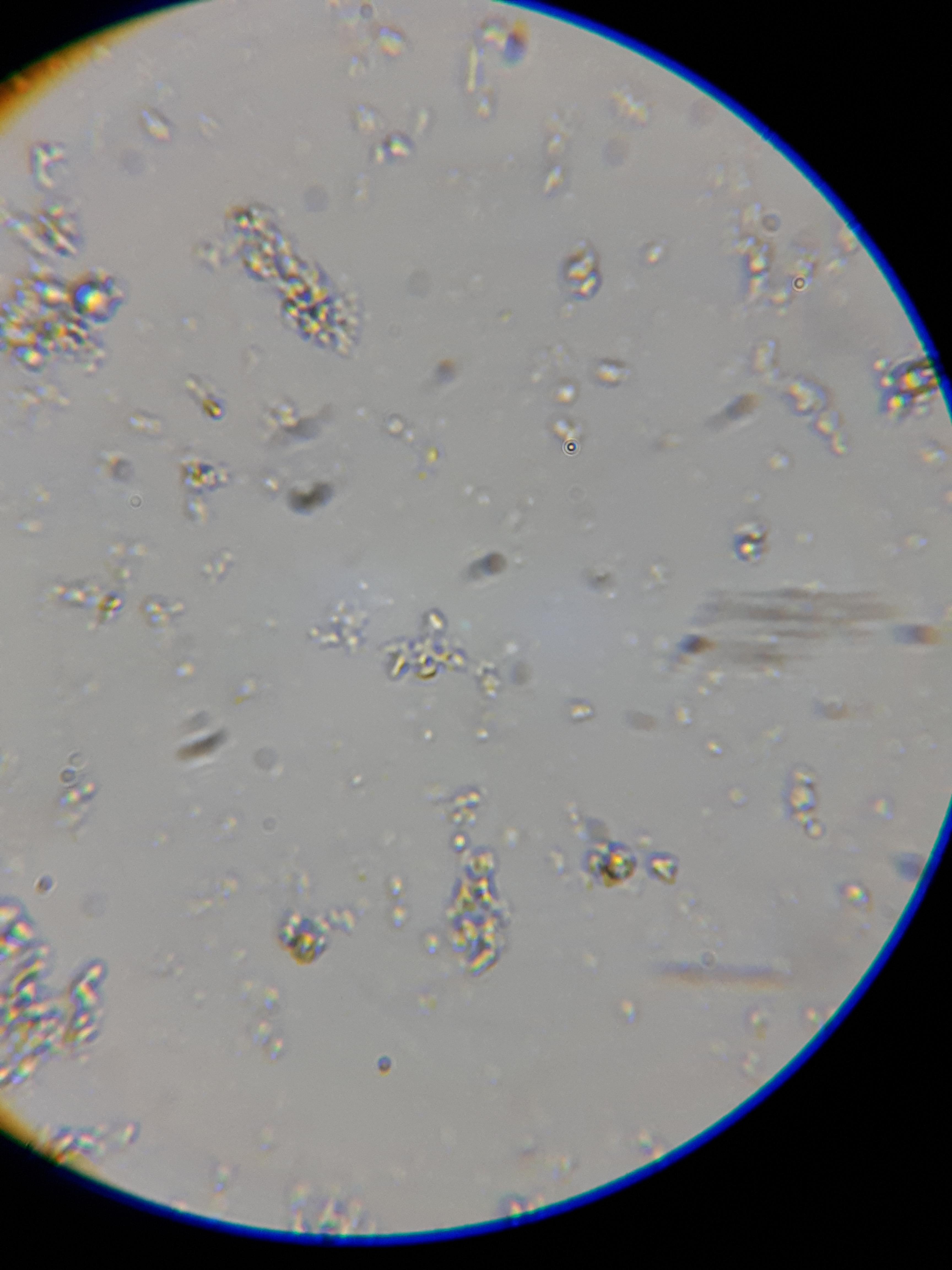 20220407_045429.jpg