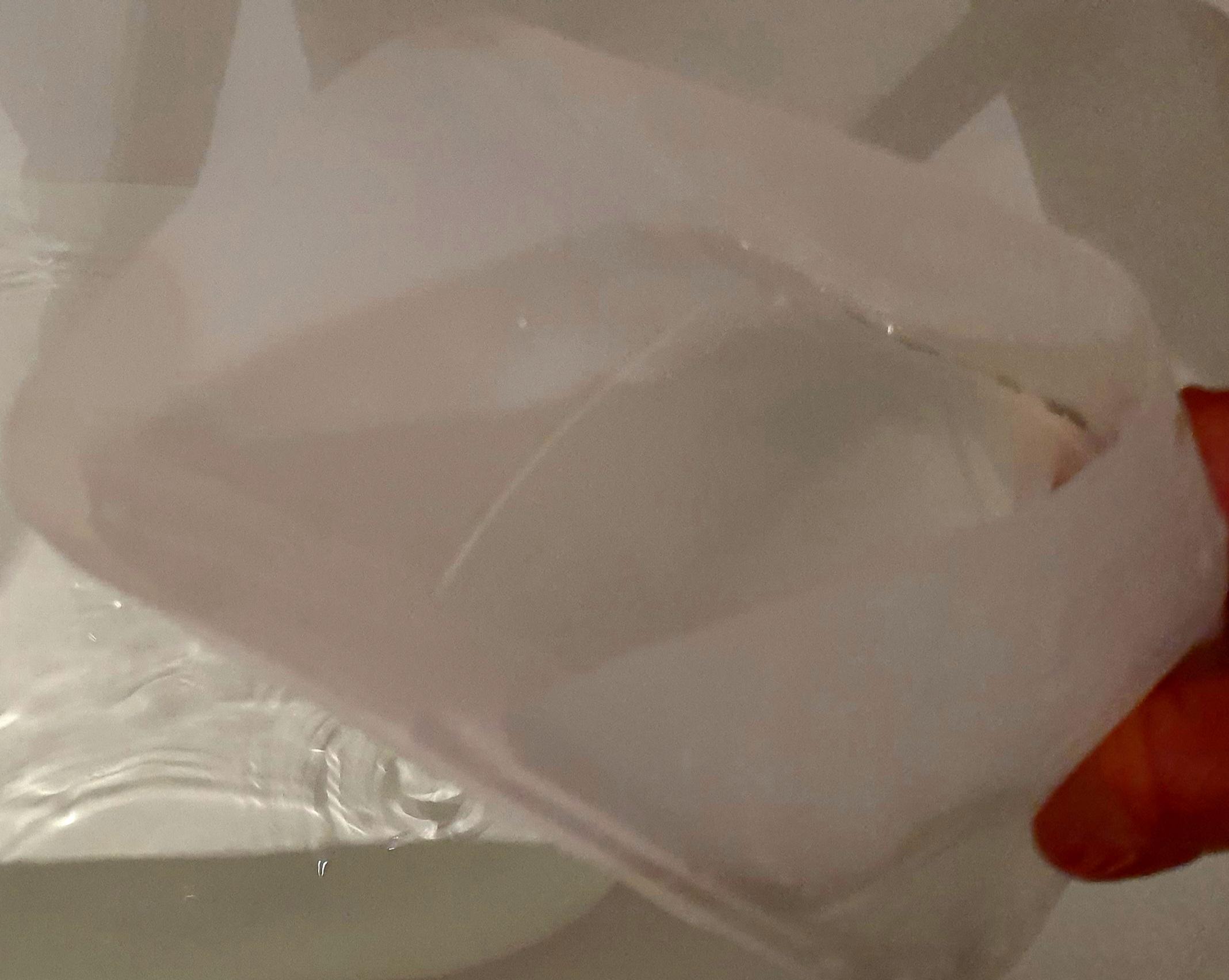 20220829_120609.jpg