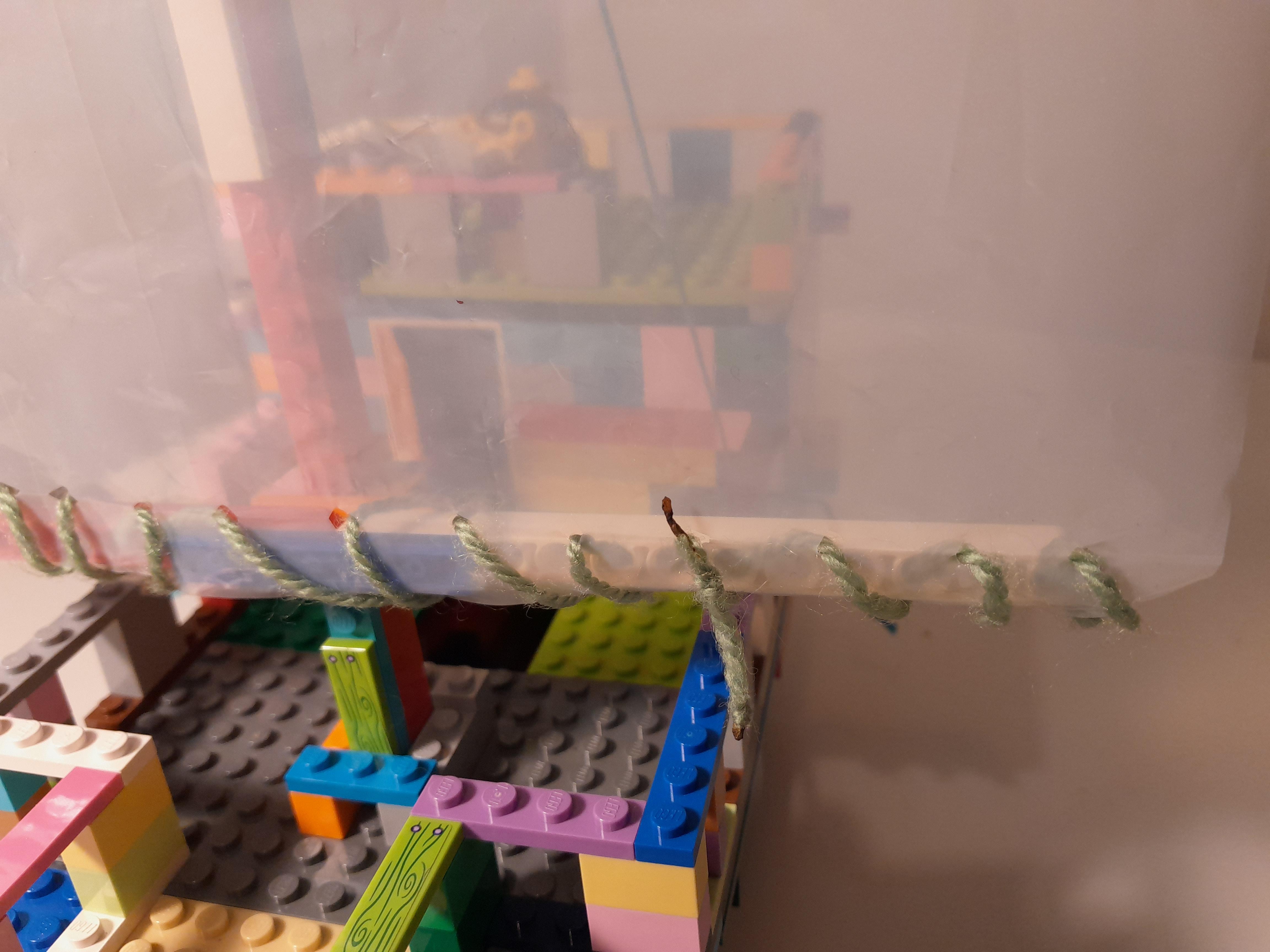 20221124_184356.jpg