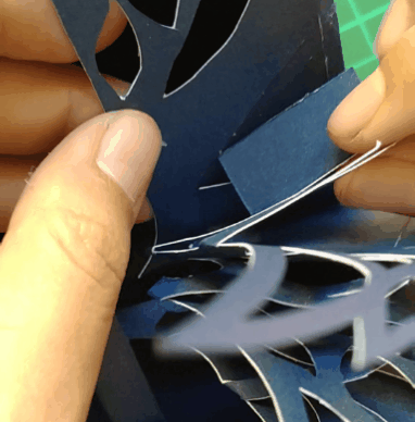 20230801_055332.gif