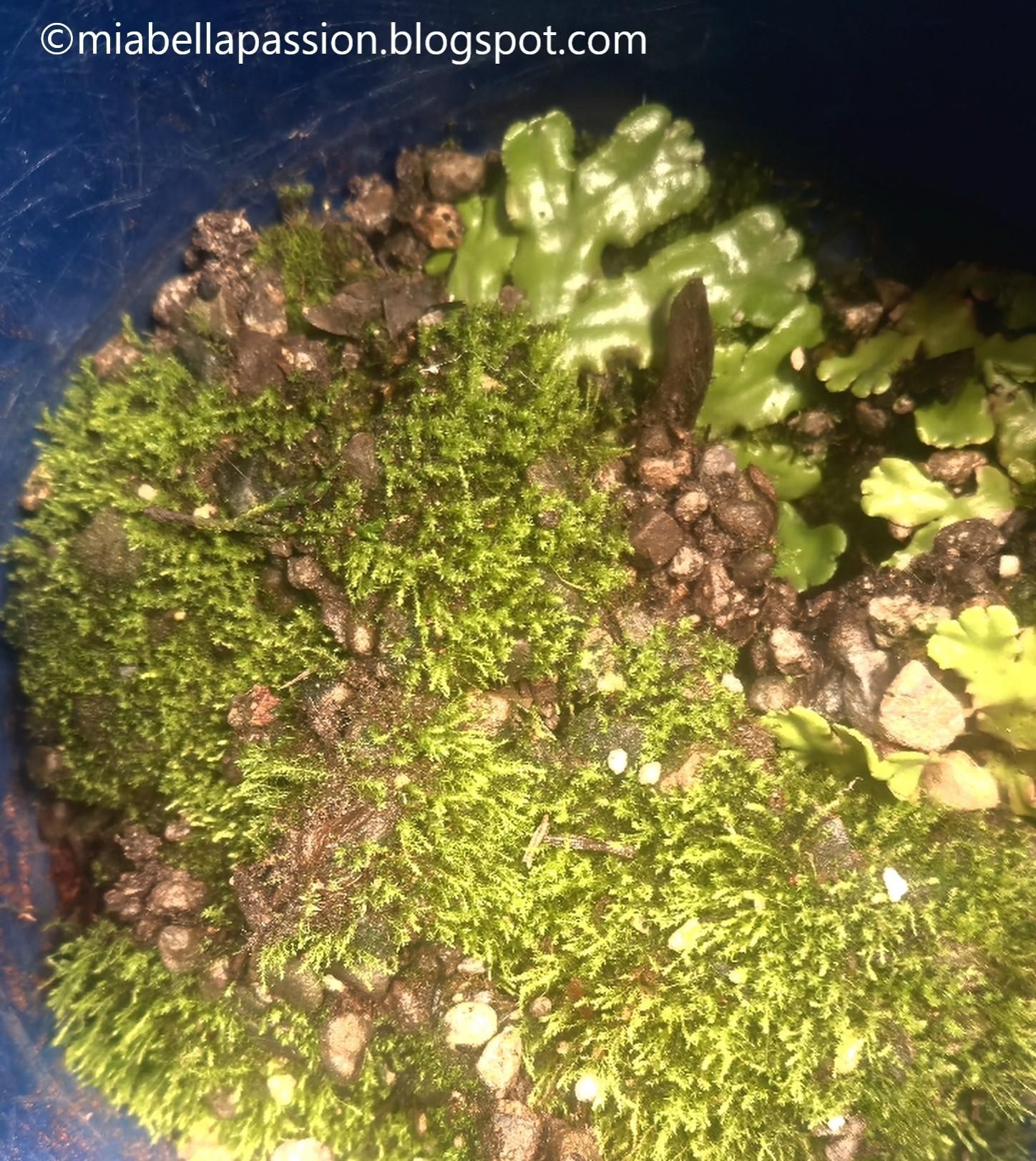 20260223_141935.jpg