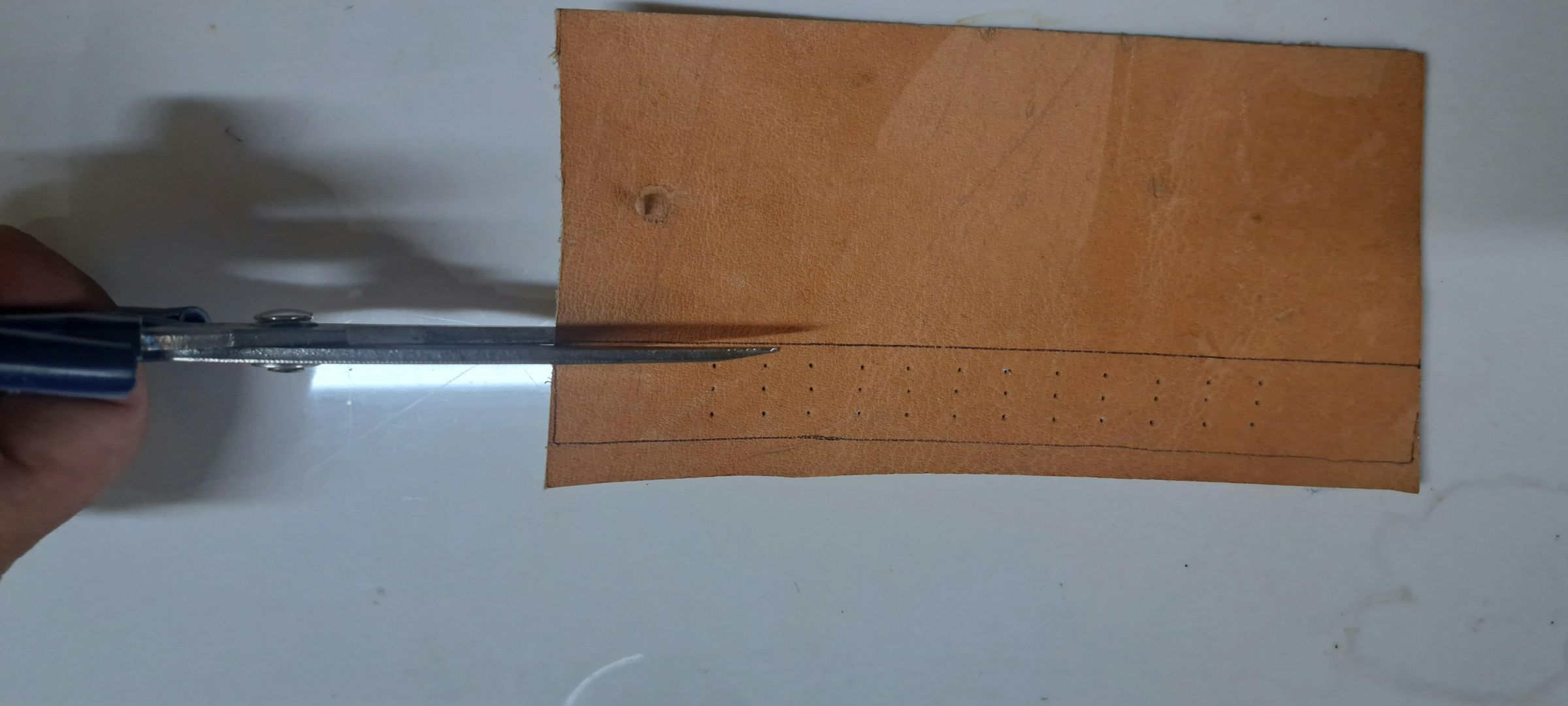 20260313_104328.jpg