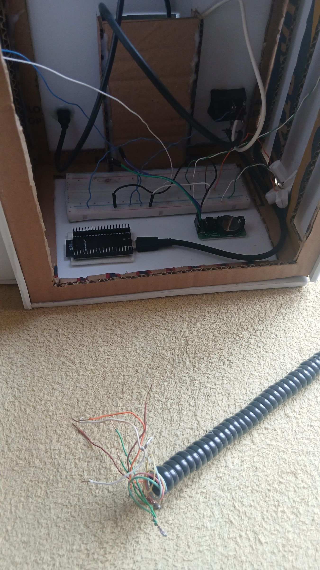 20260315_113430.jpg